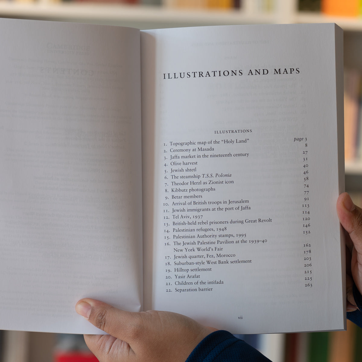 The Israel-Palestine Conflict: A History、mySite、topwebapps