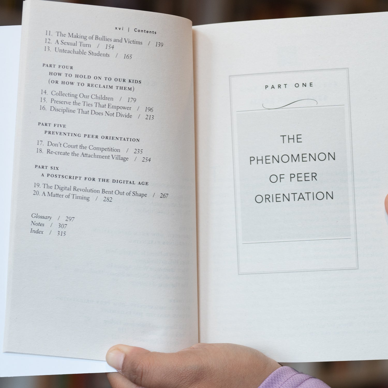 Hold on to Your Kids: Why Parents Need to Matter More Than Peers、mySite、topwebapps