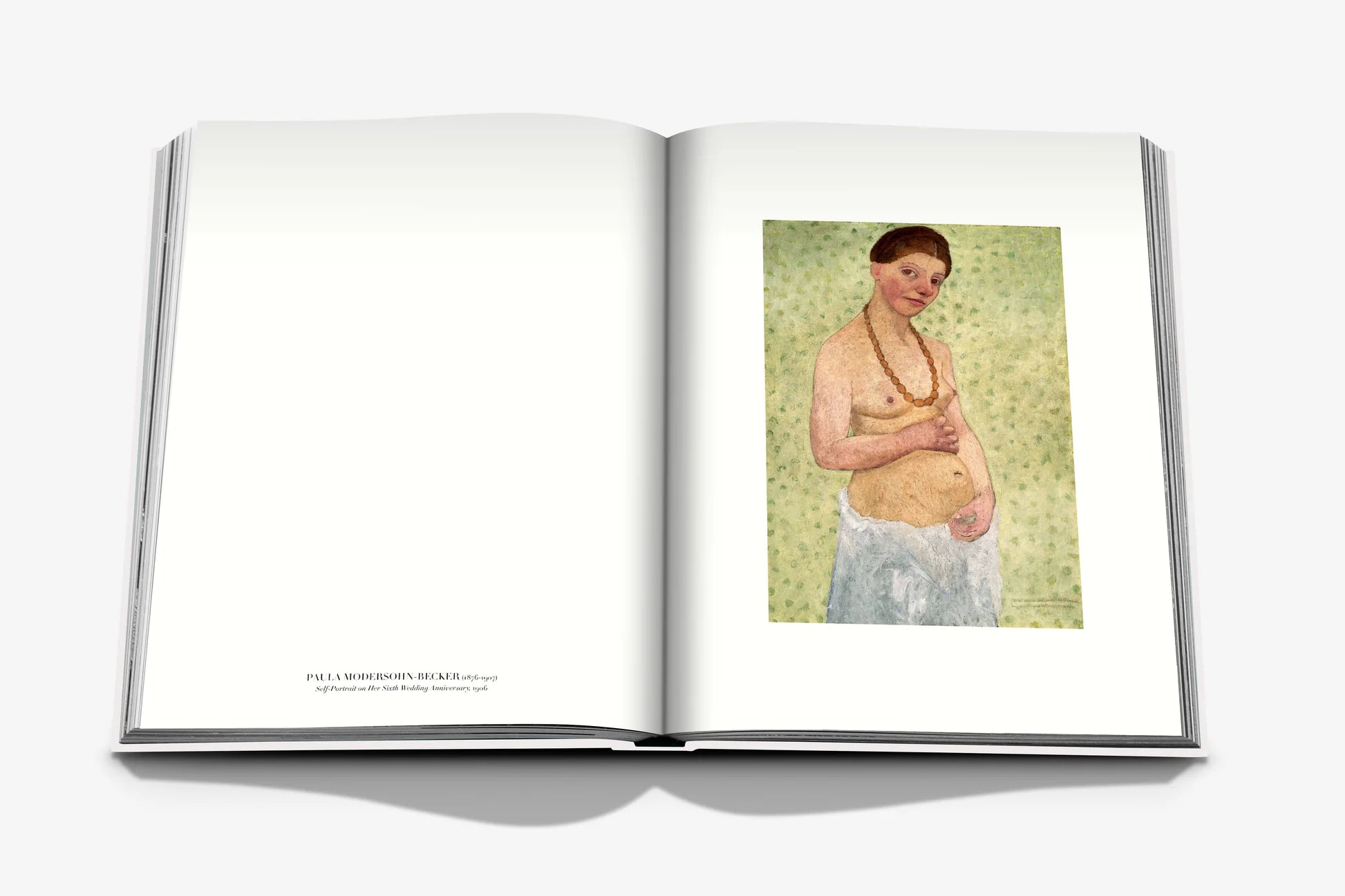  Self Portraits: From 1800 to the Present Book、mySite、sugarbowlscore
