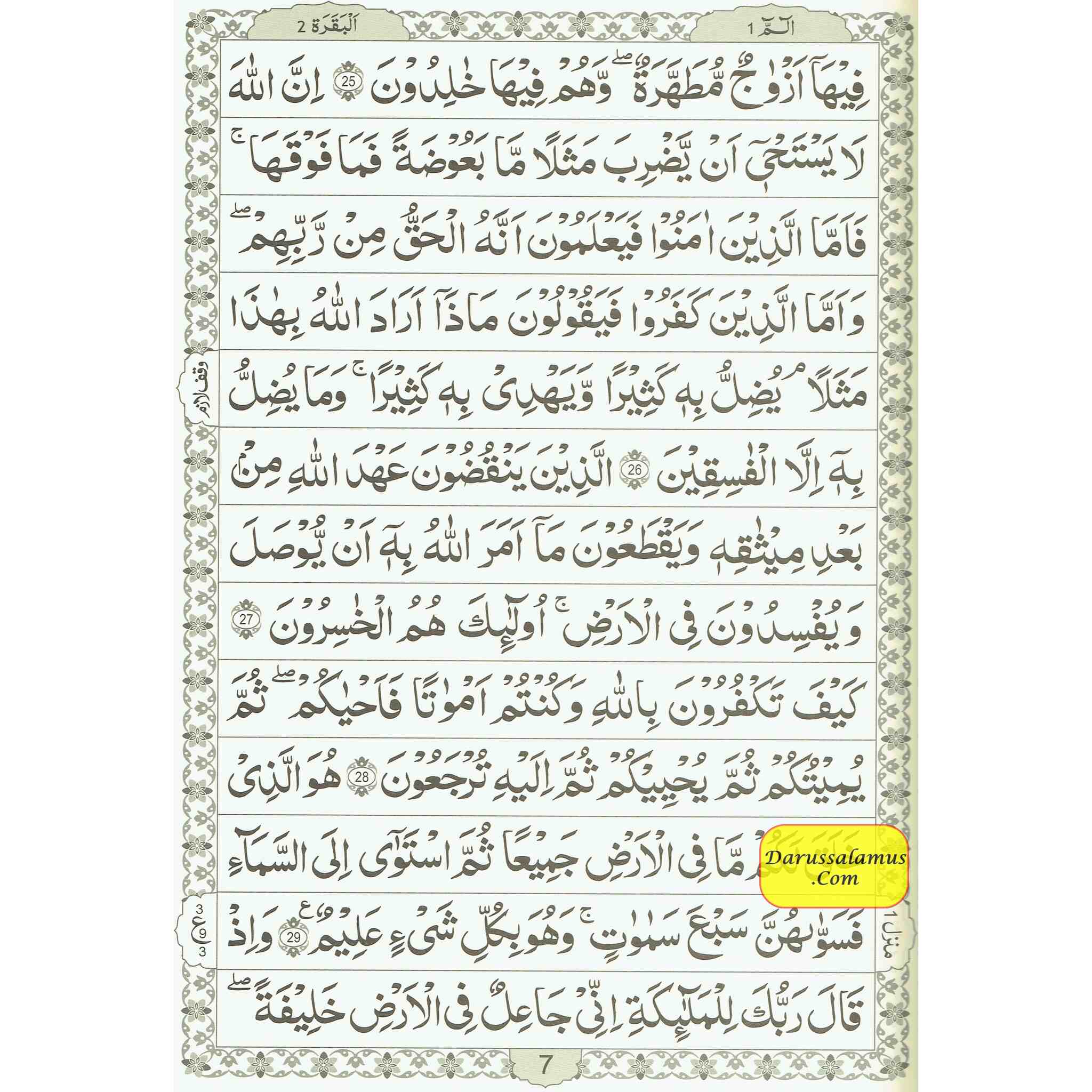 The Quran Arabic Only , 13 Lines Pakistani / Indian/ Persian Script (Size XL, 13.5 x 10 x 1.7 Inch) (Ref 111)、mySite、topwebapps