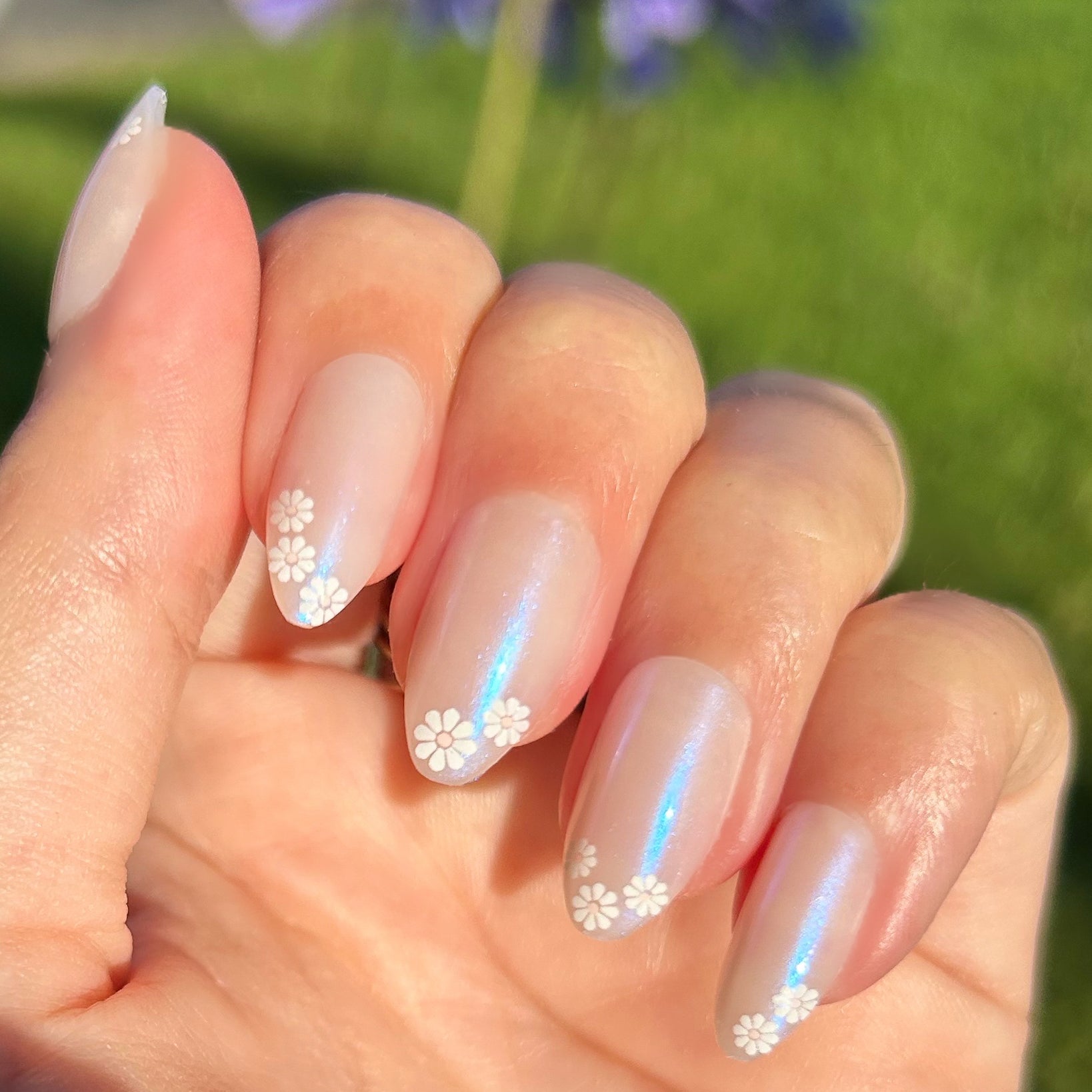 Daisy French - Press-On | Medium | Almond、mySite、solidvoid