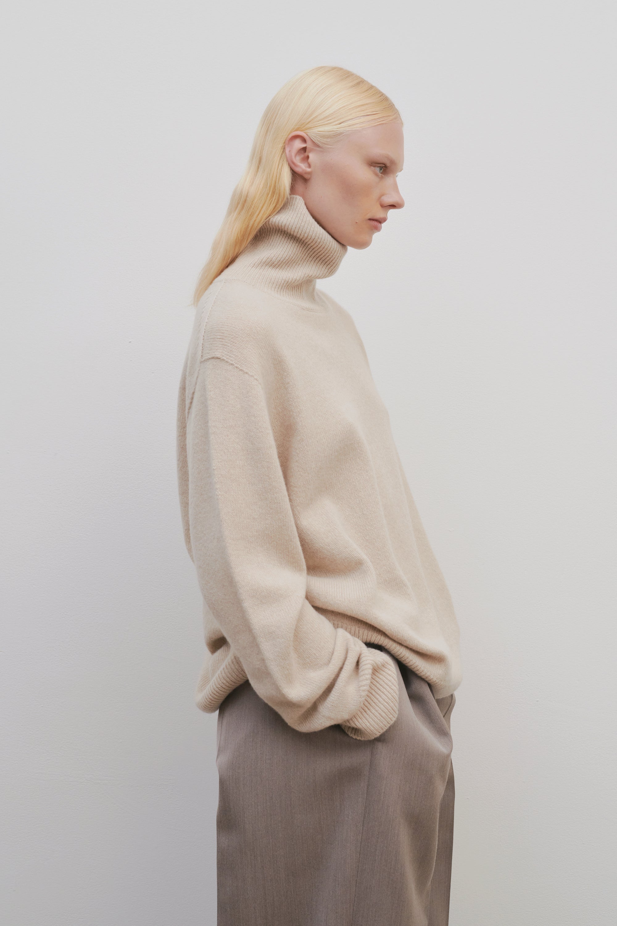 Stepny Turtleneck in Wool and Cashmere、mySite、aoinhome