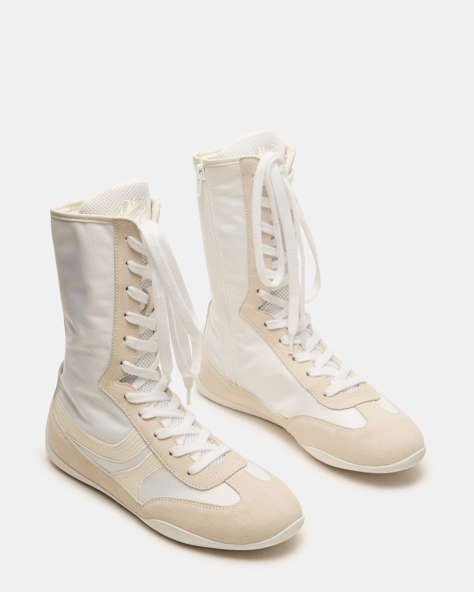 PAXTIN WHITE MULTI、mySite、gtrtttuynbv