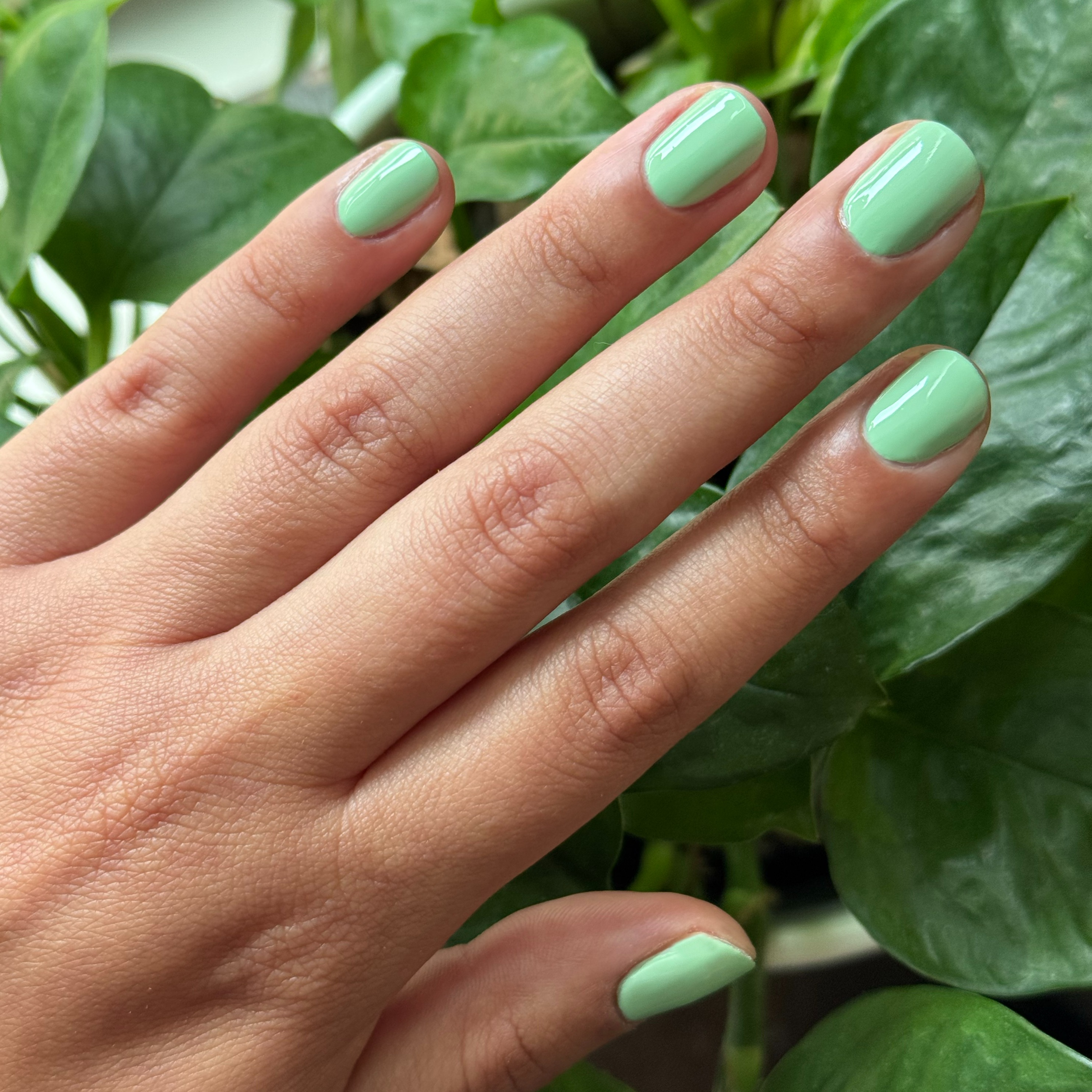 Aced It、mySite、solidvoid