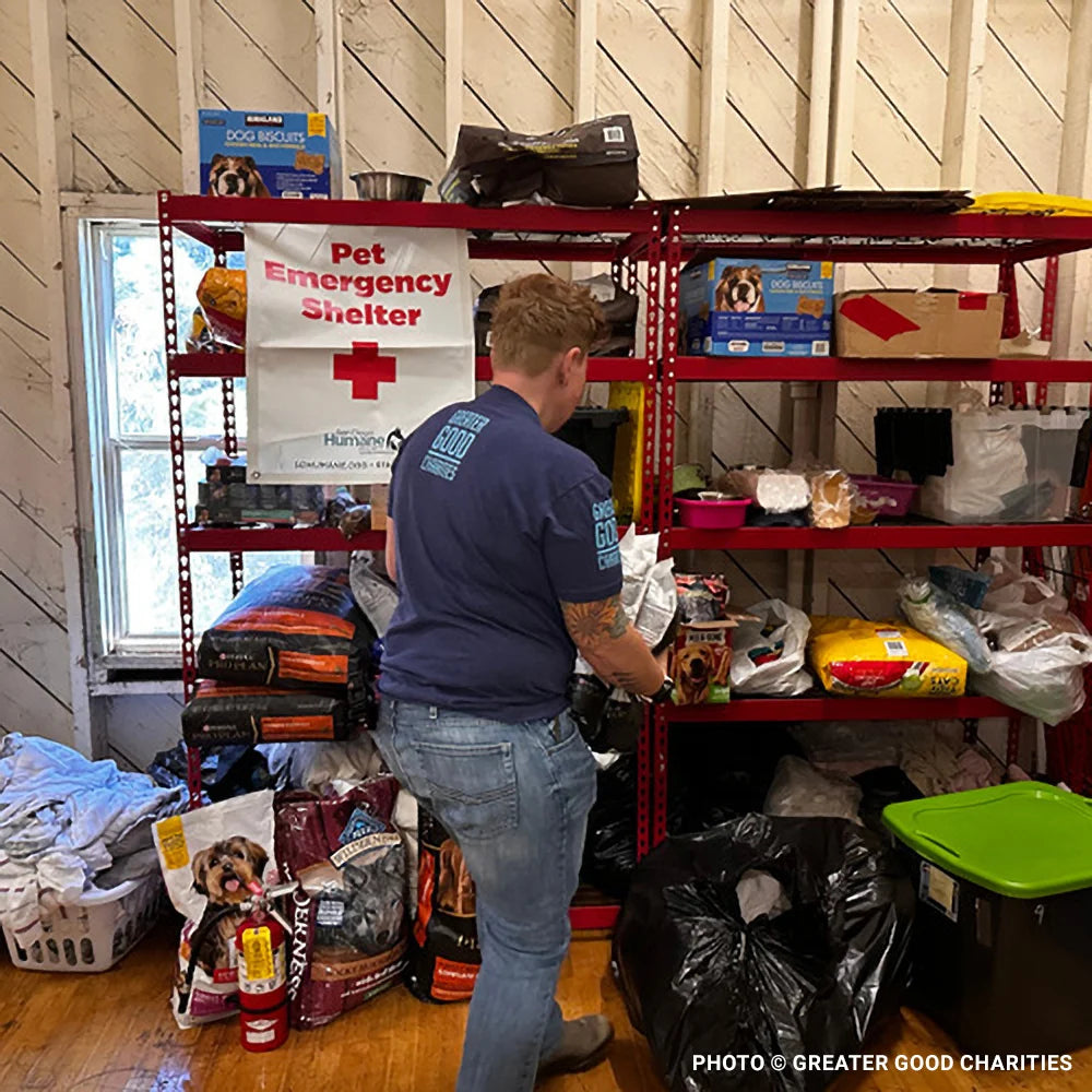 Help People and Pets Suffering from Extreme Heat、mySite、camillekostekn