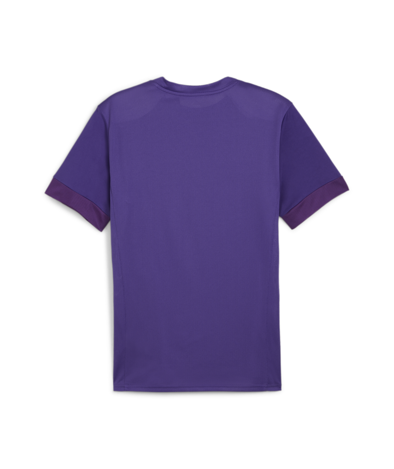 Puma Youth Teamgoal Matchday Jersey - Purple、mySite、noshort