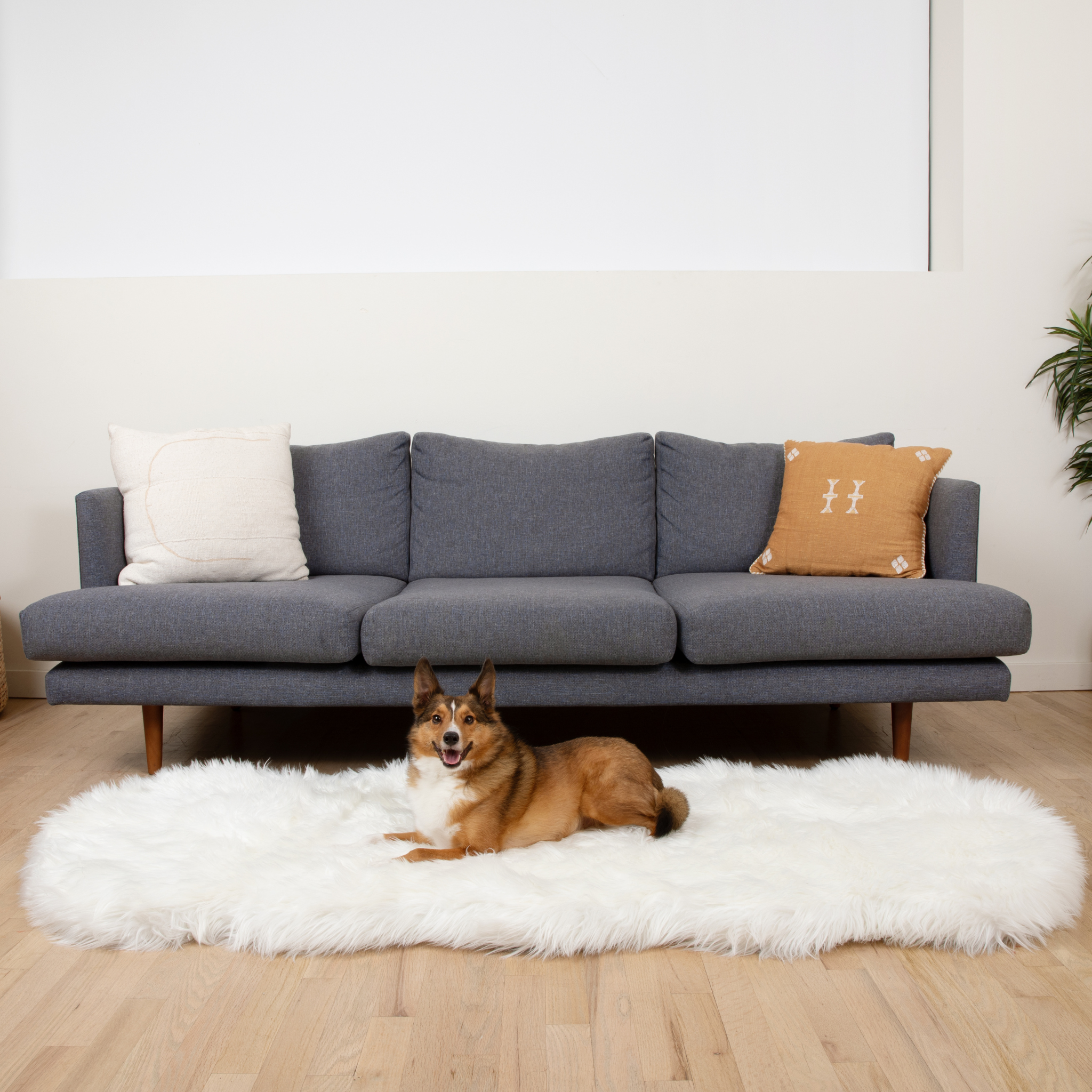 PupRug™ Runner Faux Fur Memory Foam Dog Bed - Curve Polar White、mySite、solidvoid