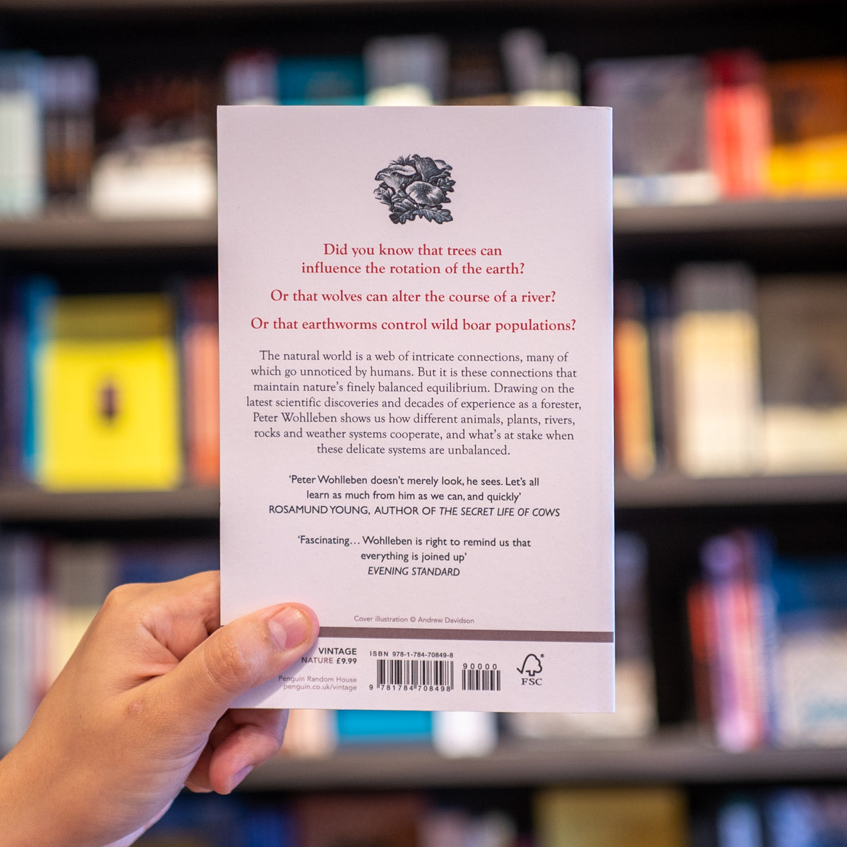 The Secret Network of Nature、mySite、topwebapps