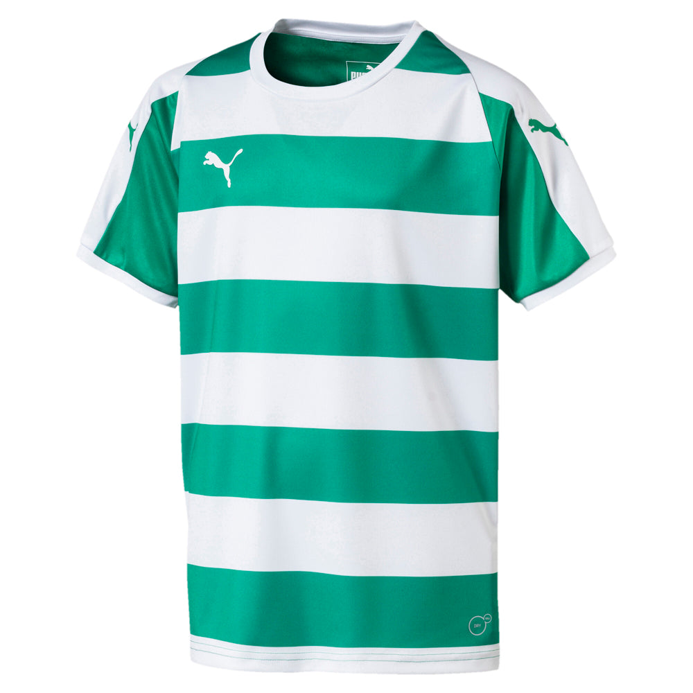 Liga Hooped Crew Neck Short Sleeve Soccer Jersey (Youth)、mySite、gtrtttuynbv