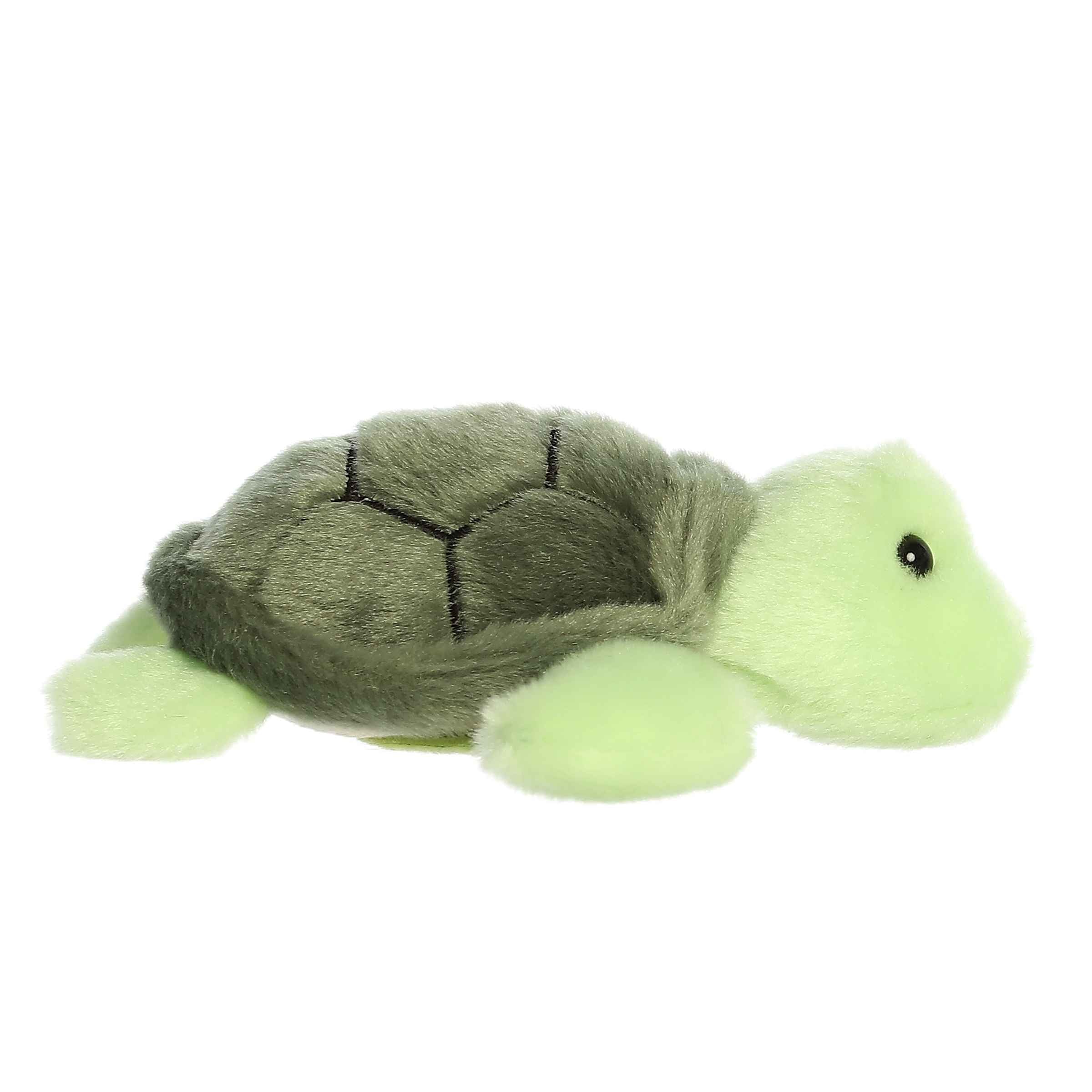 Aurora® - Shoulderkins™ - 5.5 Saavy Sea Turtle™、mySite、g9winljtr