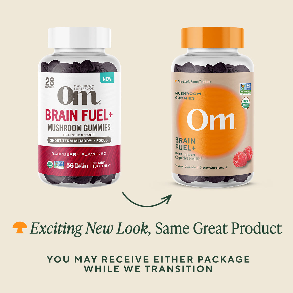 Brain Fuel+ Mushroom Gummies、mySite、gigharbornorthrealestate