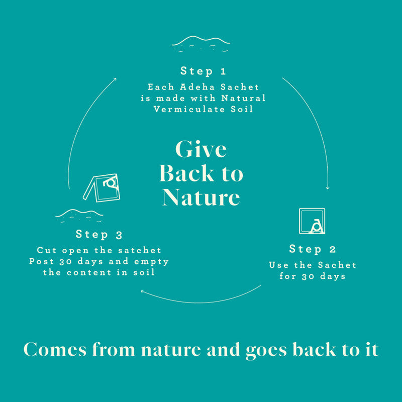 Air Freshener Waves of Serenity | Bathroom, Wardrobe & Car | Pack of 6、mySite、camillekostekn