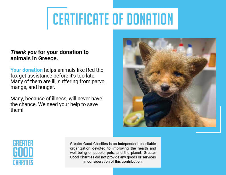 Funded: Emaciated, One-Eyed Fox Cub Needs Love & Care、mySite、camillekostekn