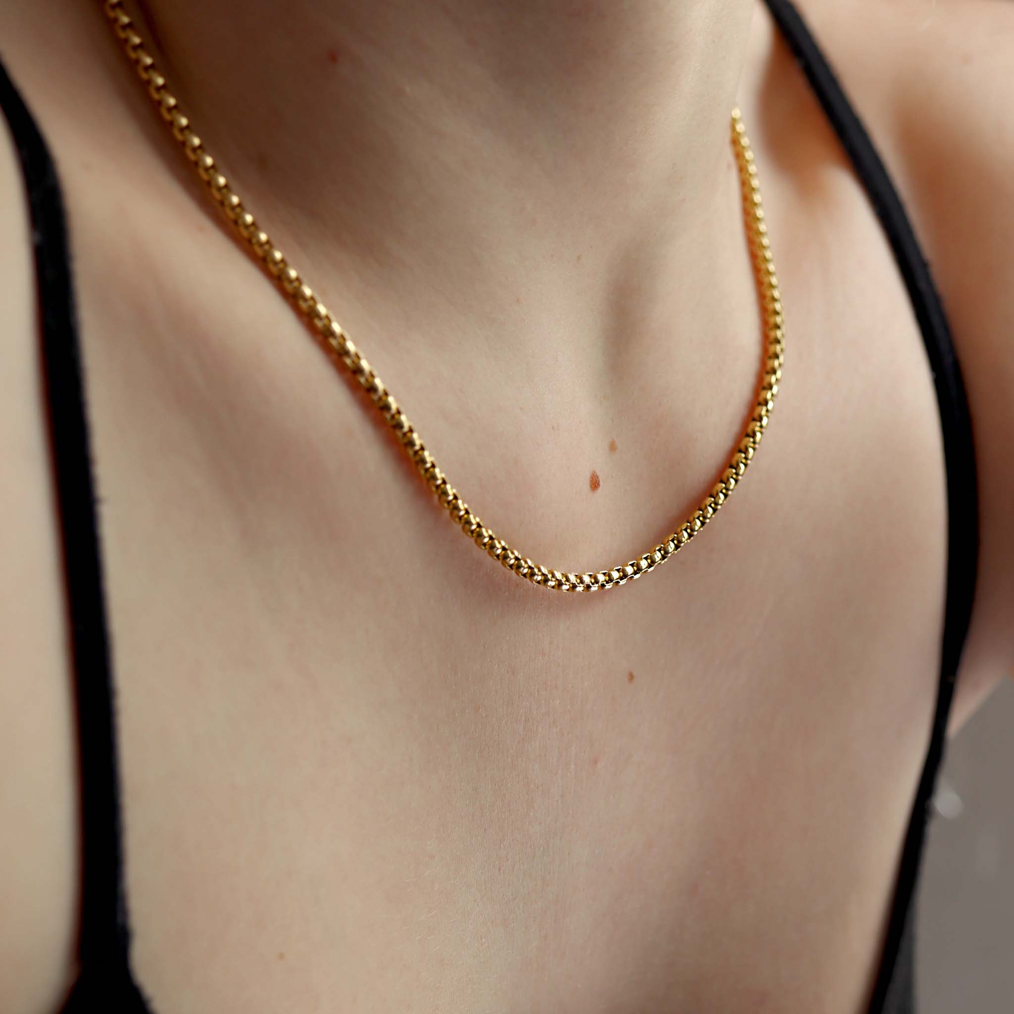 18K Gold PVD Stainless Steel Rounded Box Chain / CHN9952、mySite、dreamappss