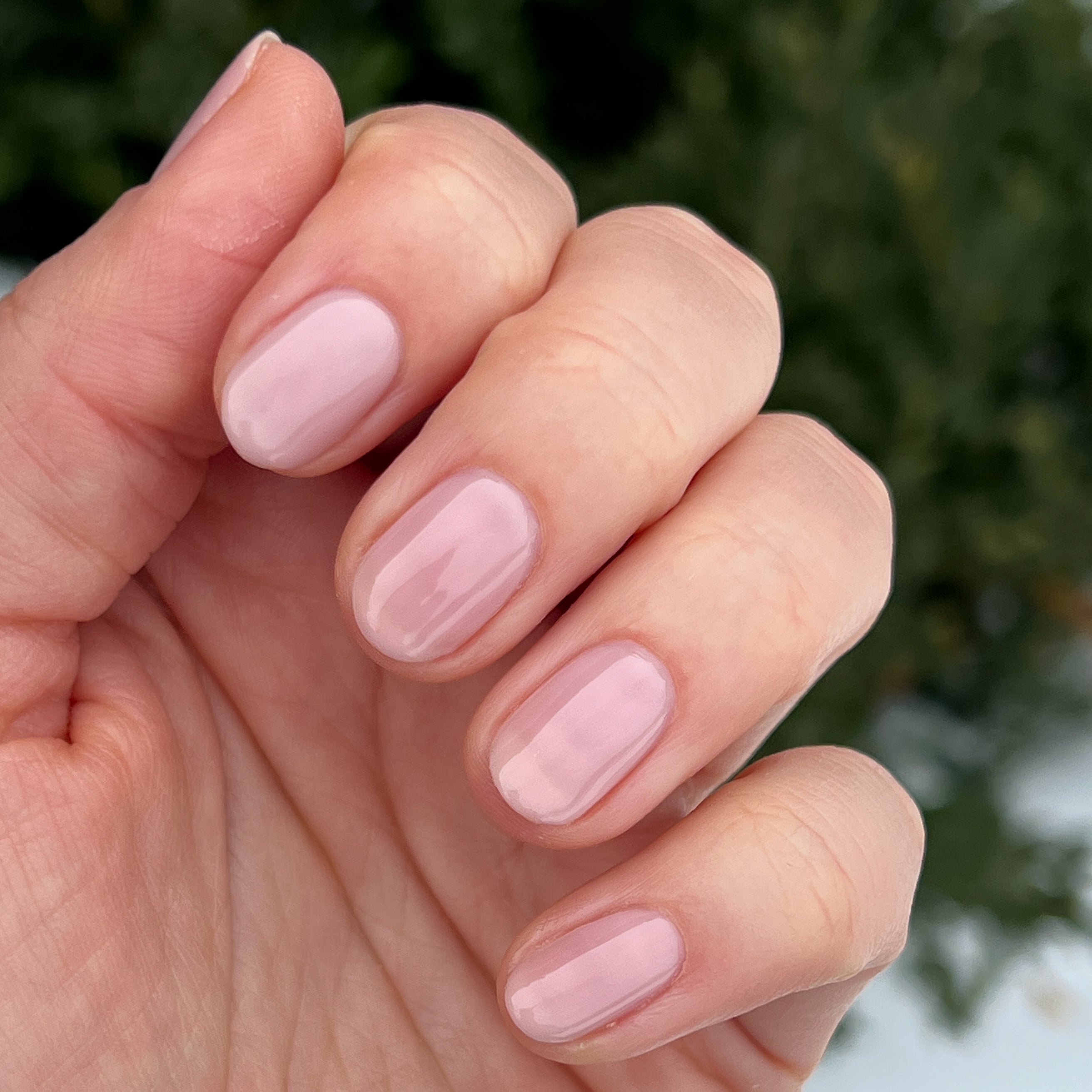 The Queen Takes her Tea with Milk、mySite、solidvoid