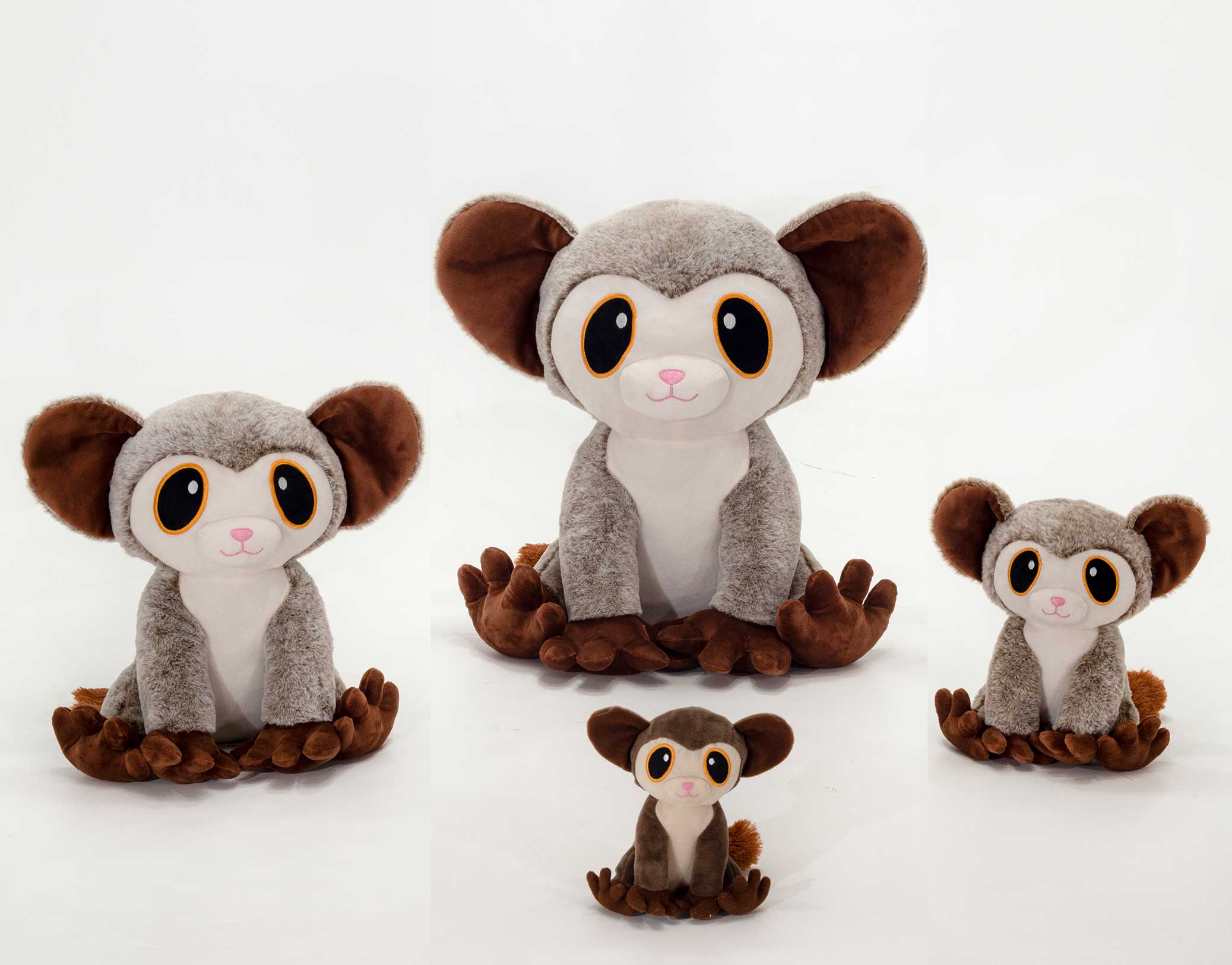 14.5IN AYE AYE WITH FIESTA WHT HT、mySite、g9winljtr