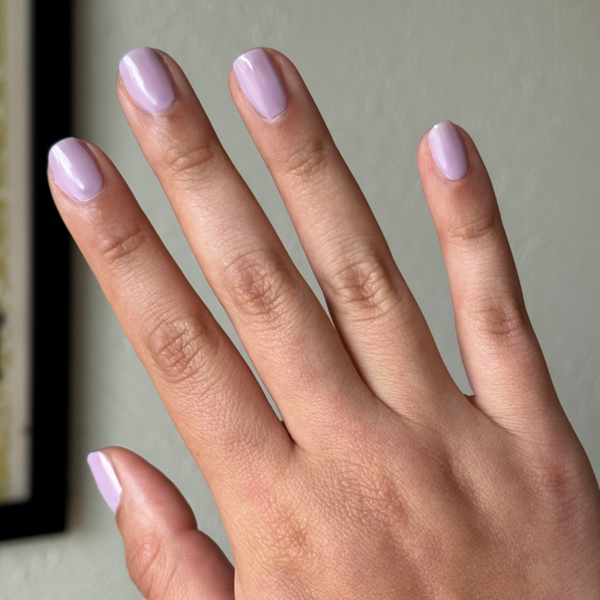 Dreamy、mySite、solidvoid