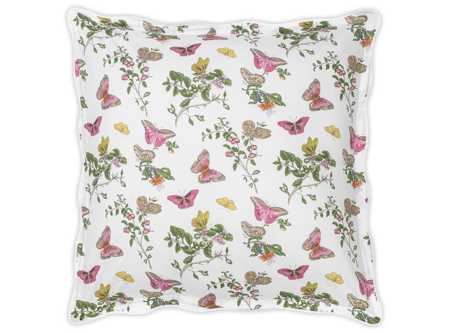  Matouk Baudin Butterfly Sham、mySite、elrpsem3k