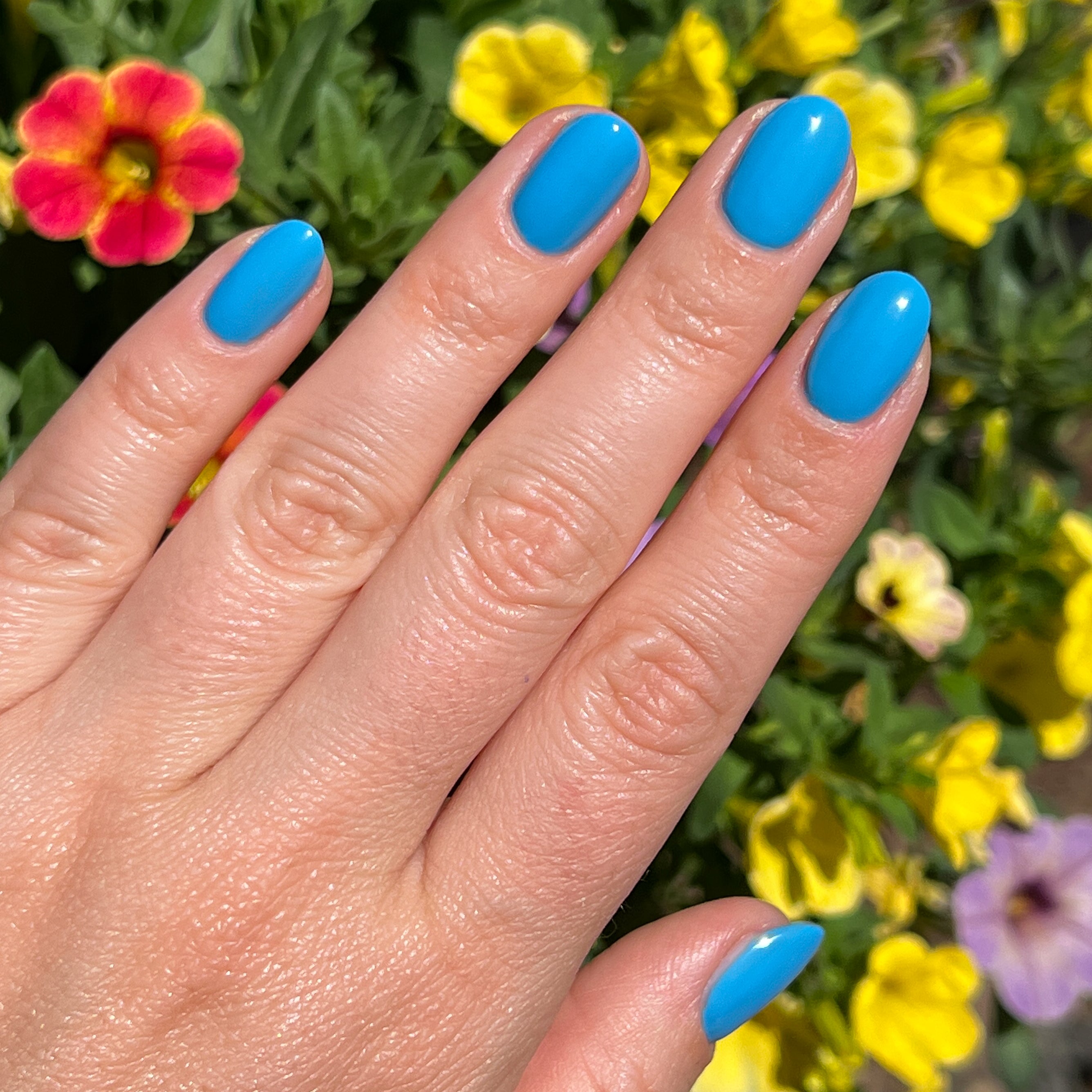 Not a Cloud、mySite、solidvoid