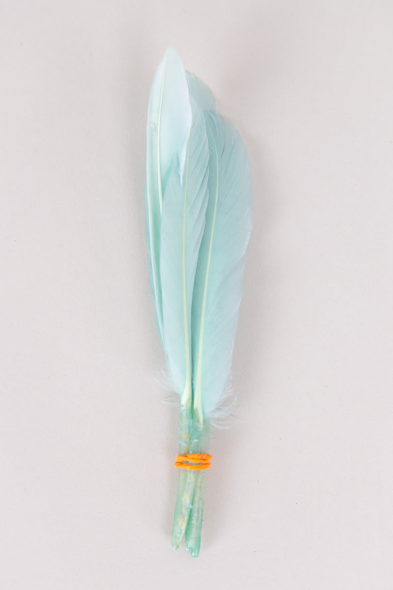 Mini Goose Feathers Bundle of 6- Orange Rubber Band - FINAL SALE、mySite、hinf8tx79