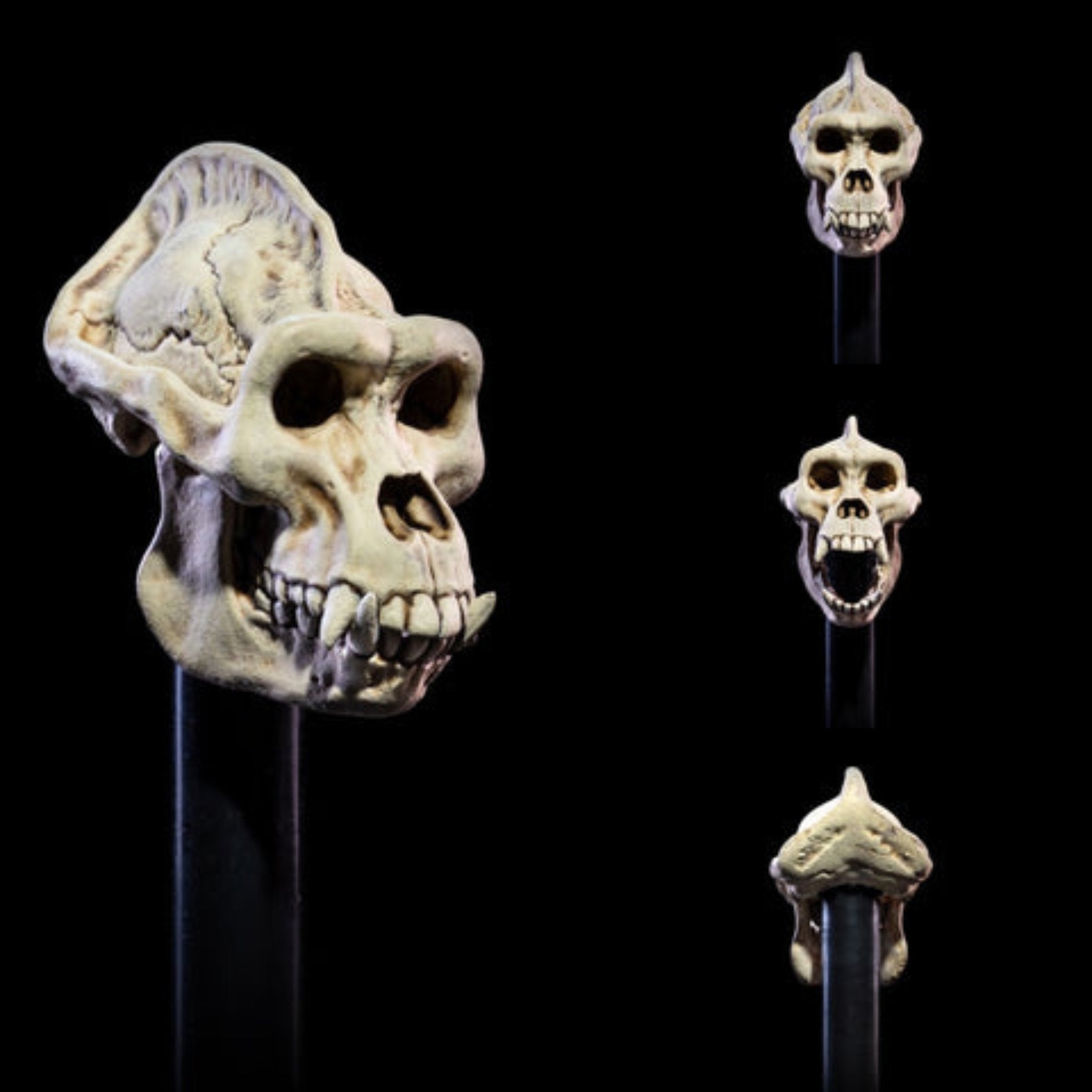 Mythic Legions Undead Heads Pack、mySite、hgirdovlk