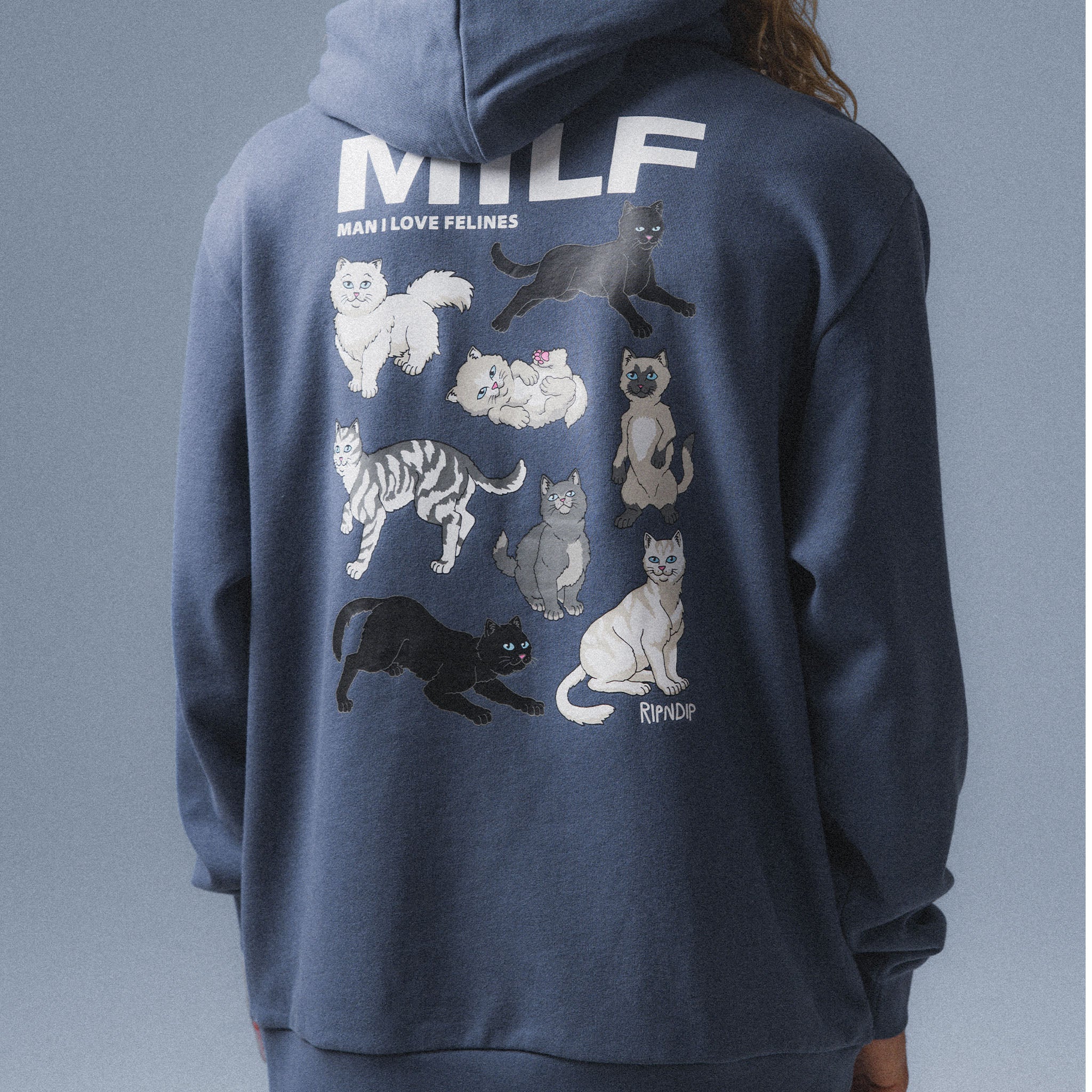  Man I Love Felines Hoodie (Storm Blue)、mySite、merchandisen
