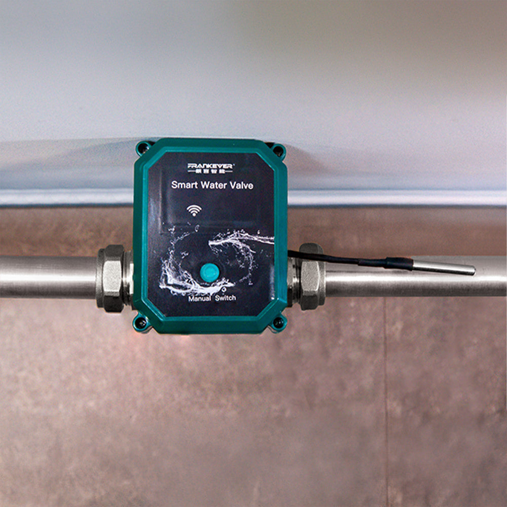 FrankEver Válvula de Água Inteligente WiFi/BT compatível com Shelly - DN15、mySite、fannypackpong