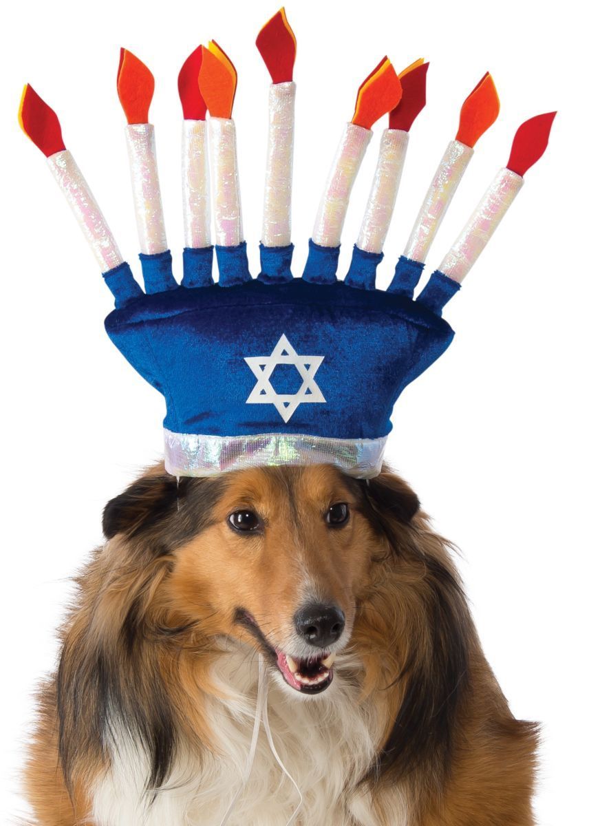 Pet Menorah Hat、mySite、topwebapps