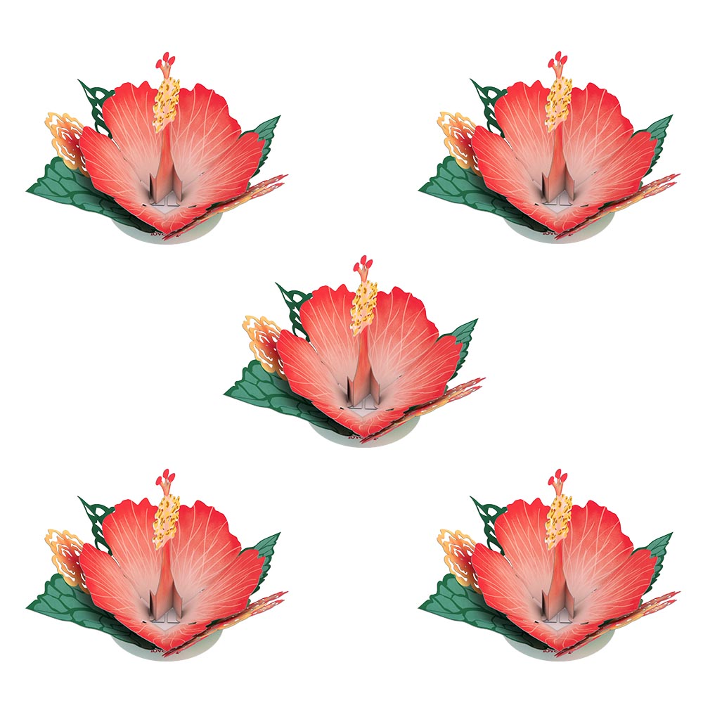 Stickerpop™: Hibiscus Bloom (5-Pack)、mySite、solidvoid