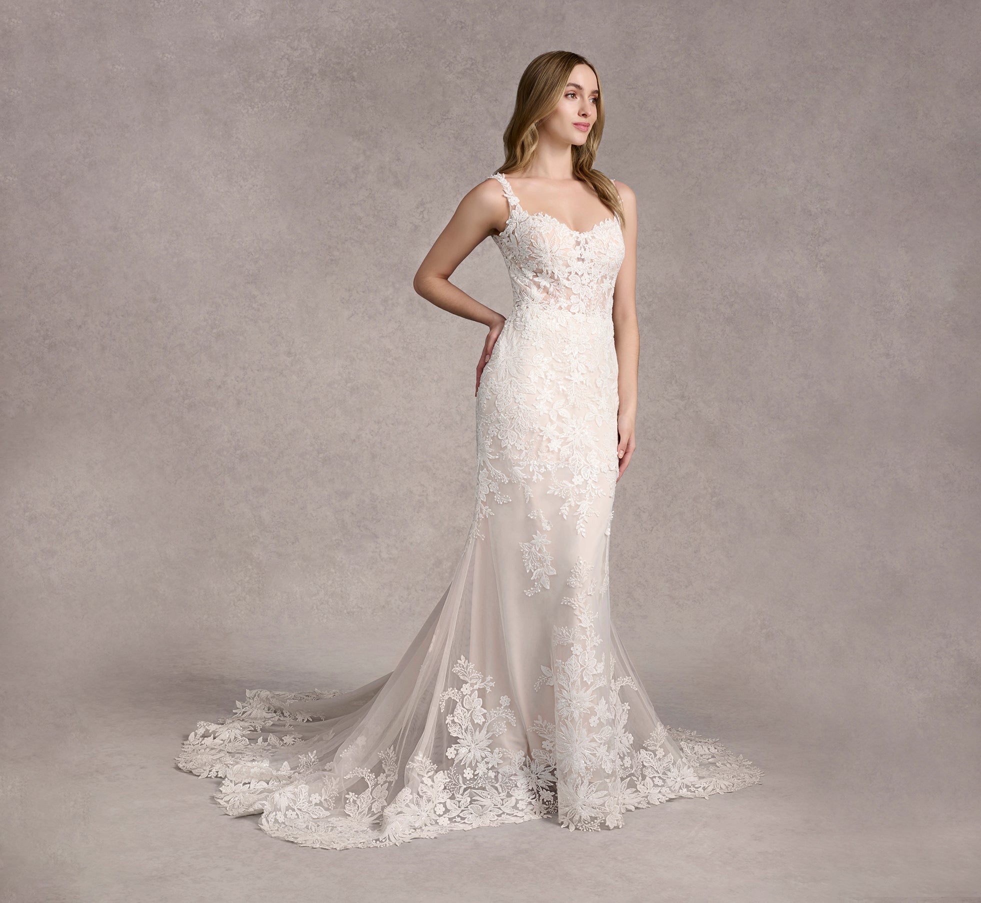 Lace And Tulle Fit And Flare Gown In Ivory/Almond/Nude In Ivory Almond Nude、mySite、solidvoid