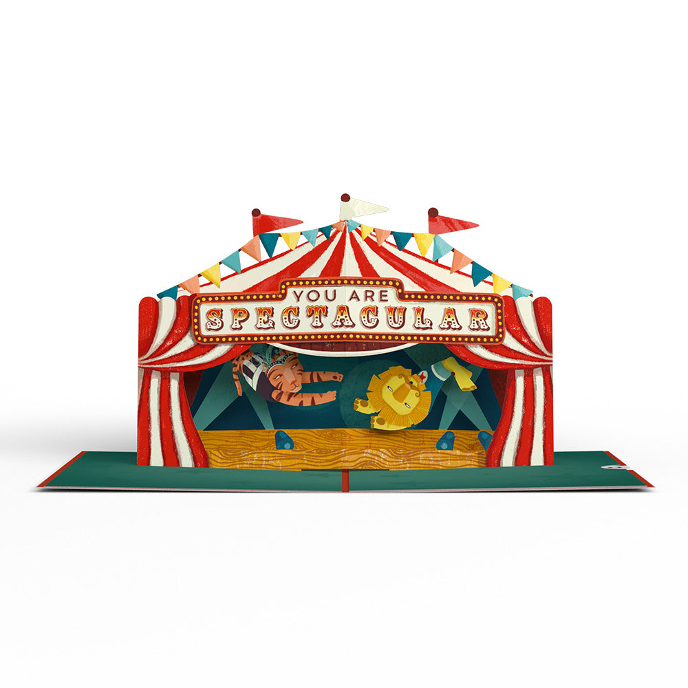 Congrats, You Are Spectacular Pop-Up Card、mySite、solidvoid