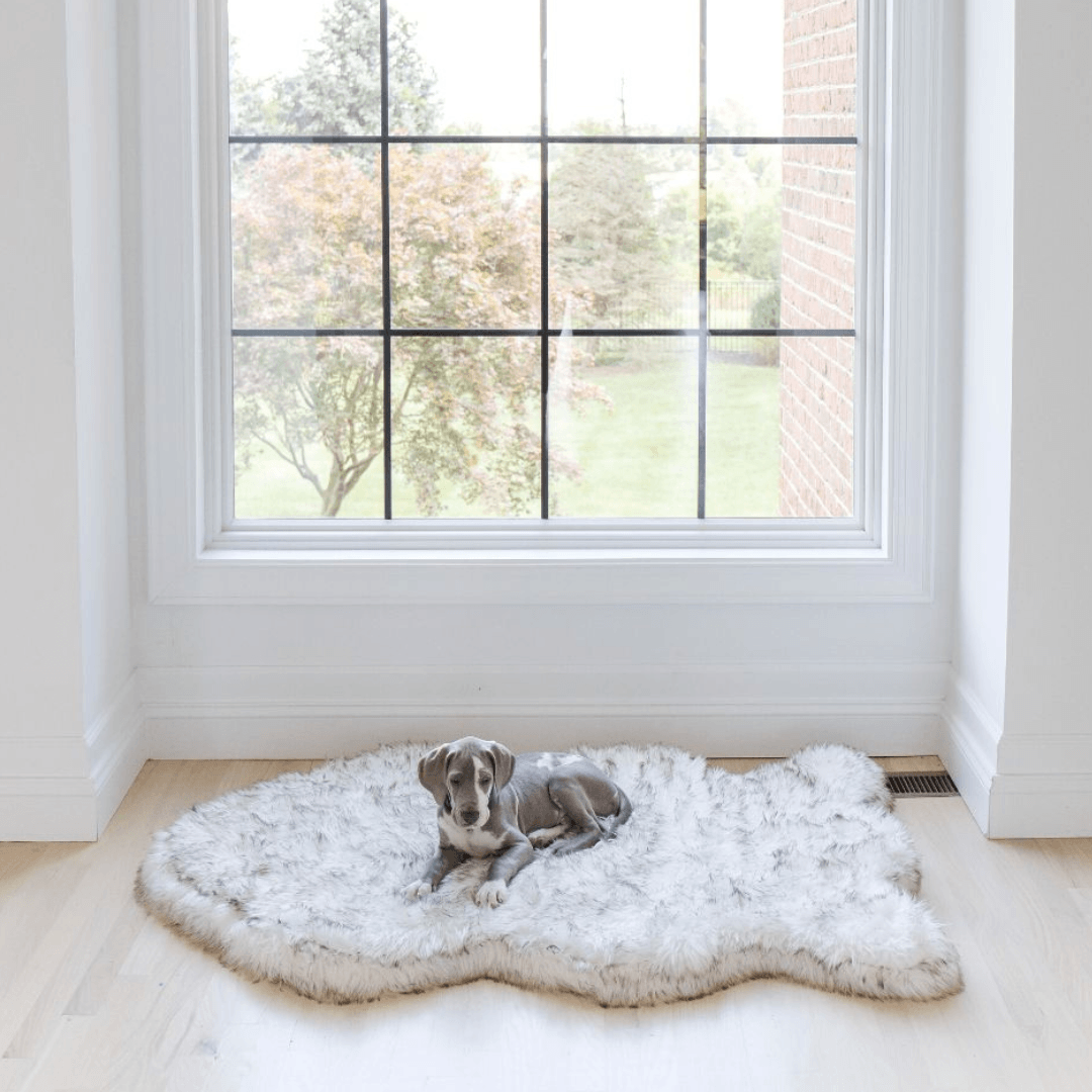 PupRug by Paw.com™ Faux Fur Orthopedic Dog Bed - Curve White with Brown Accents、mySite、solidvoid