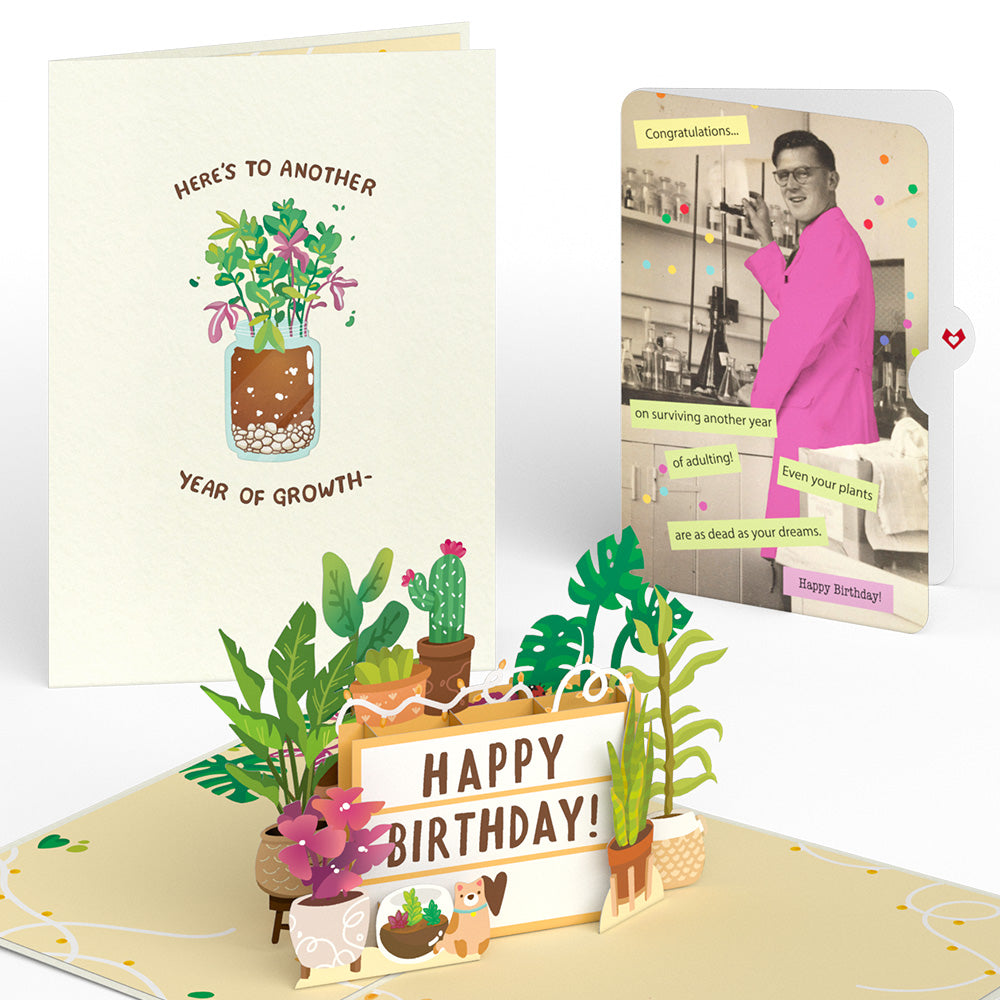 Happy Birthday Plants Pop-Up Card and Sentiment Set、mySite、solidvoid