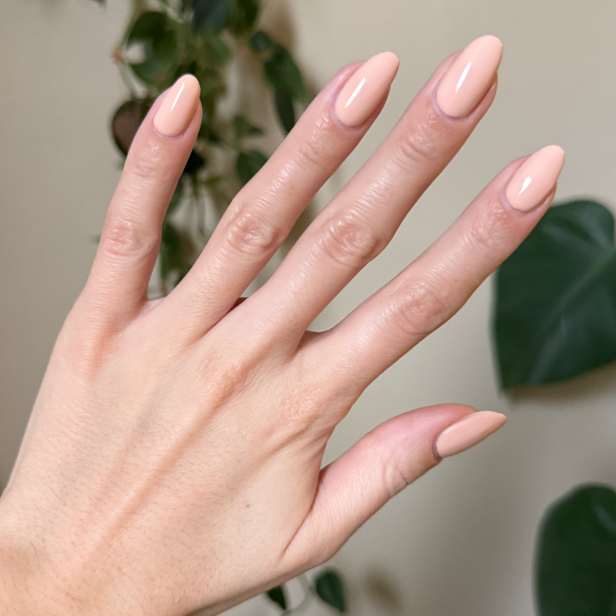 Silky、mySite、solidvoid