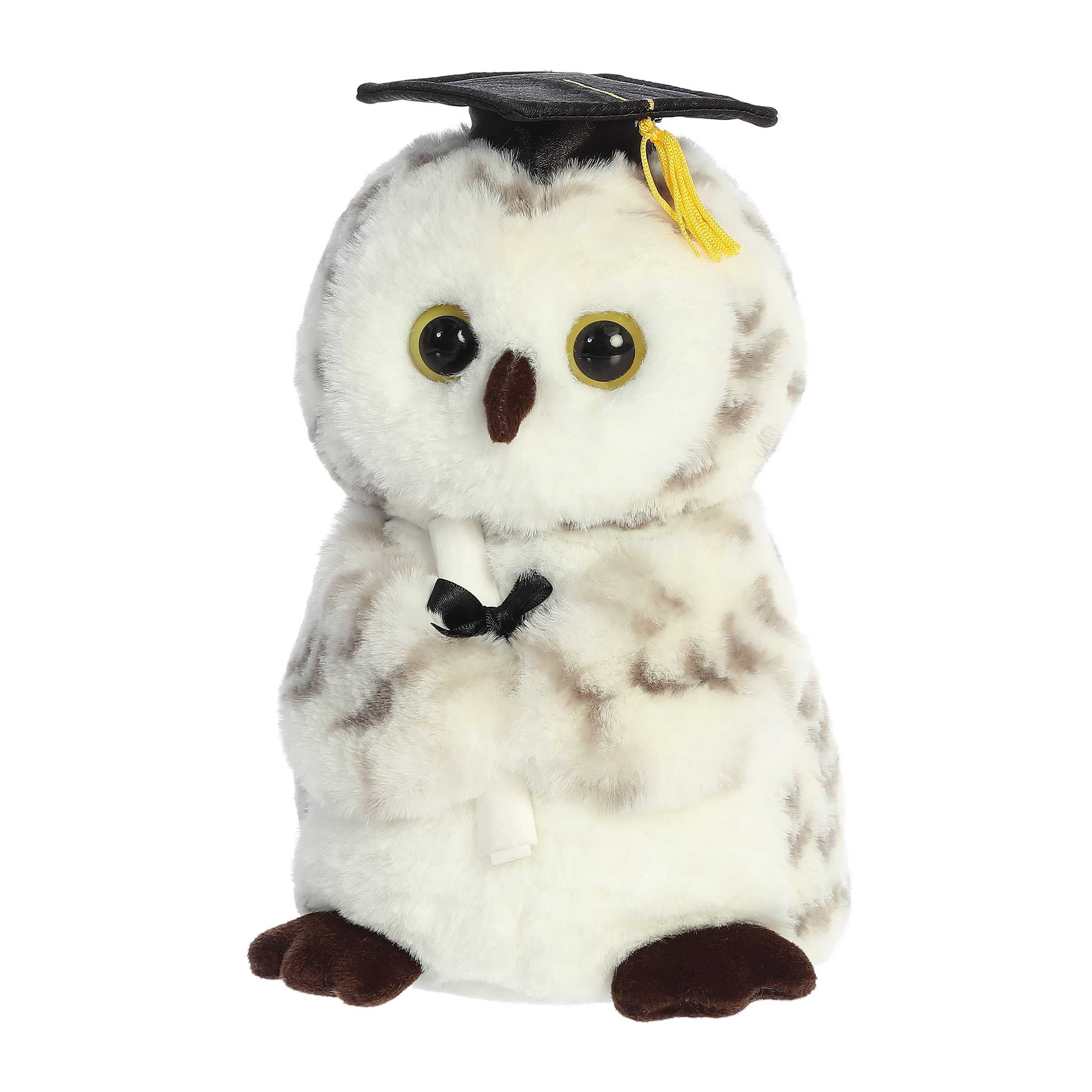 Aurora® - Graduation - 9 Smart Owl™、mySite、g9winljtr