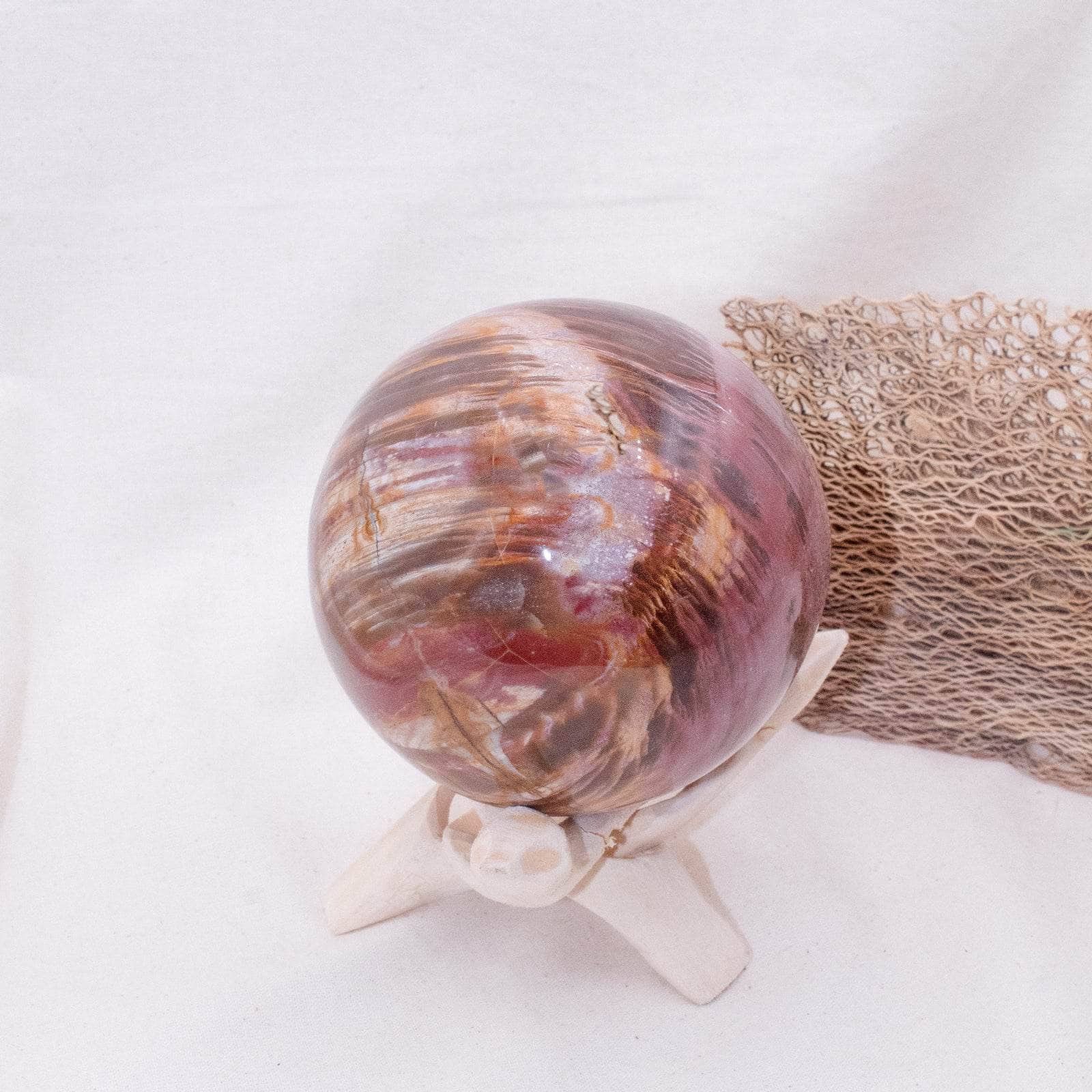 Petrified Wood Sphere - AAA Premium Quality、mySite、hinf8tx79