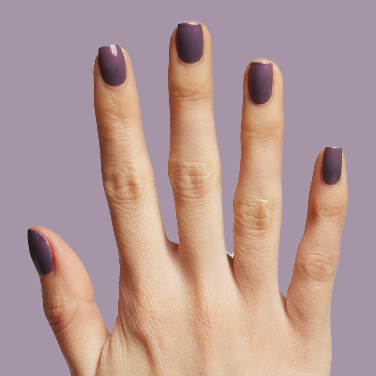 Twilight、mySite、solidvoid