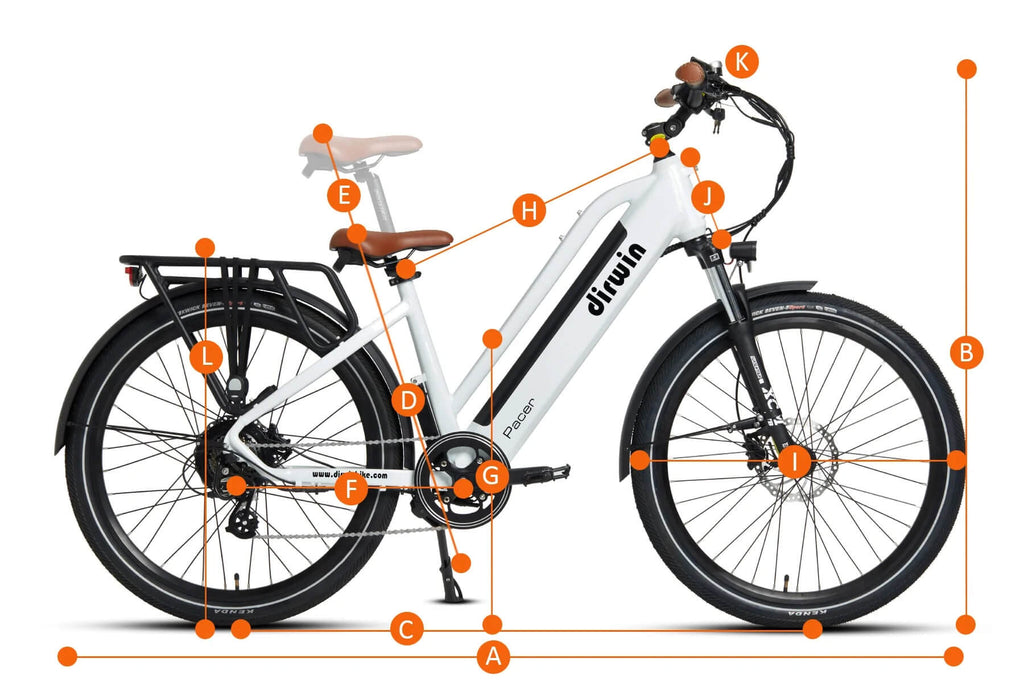 dirwin pacer size chart