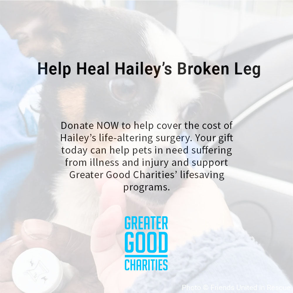 Funded: Help Heal Hailey's Broken Leg、mySite、camillekostekn