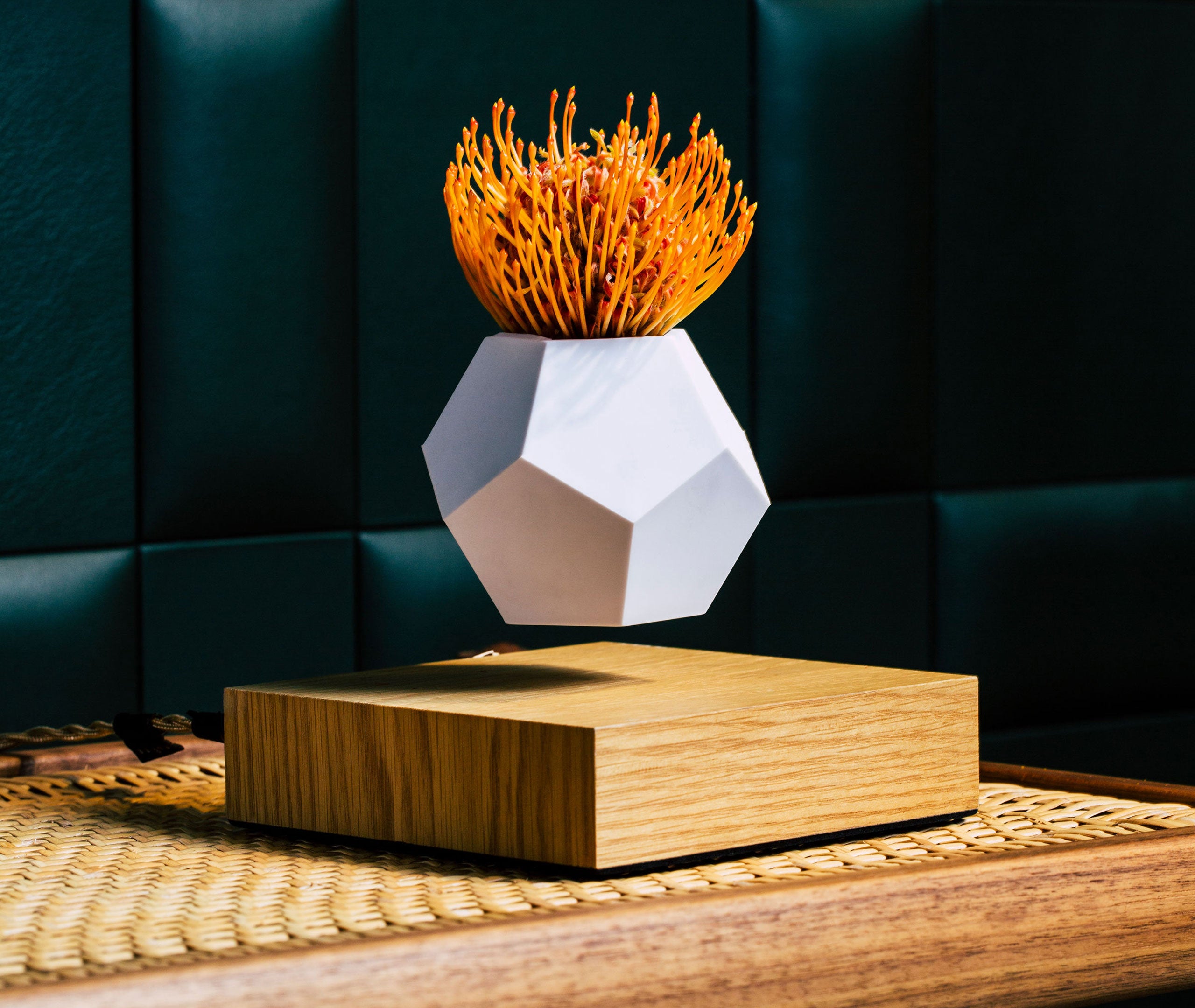 Lyfe Planter - Oak、mySite、topwebapps