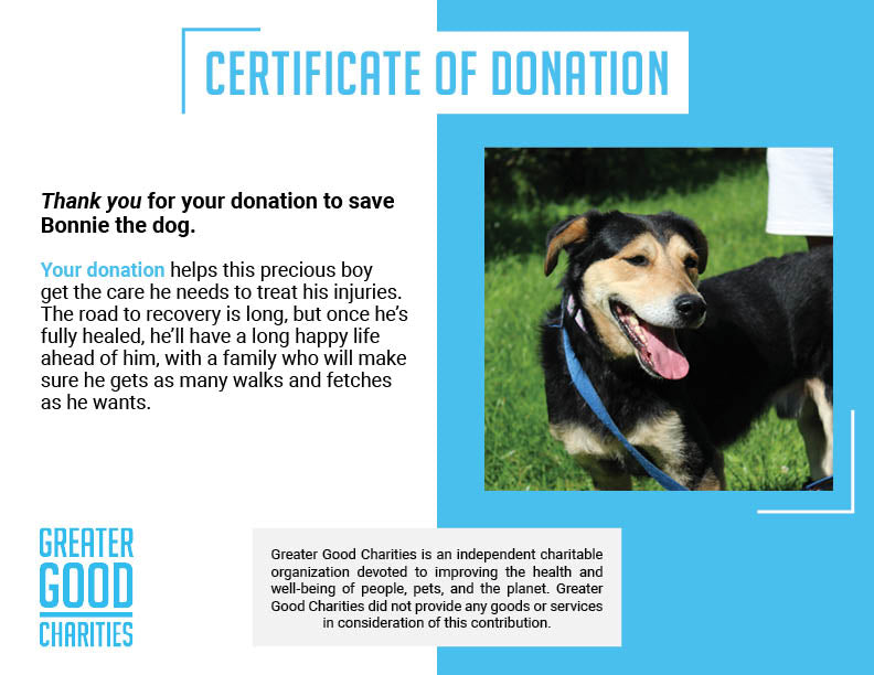 Funded: Bonnie Needs Support After Devastating Injury、mySite、camillekostekn