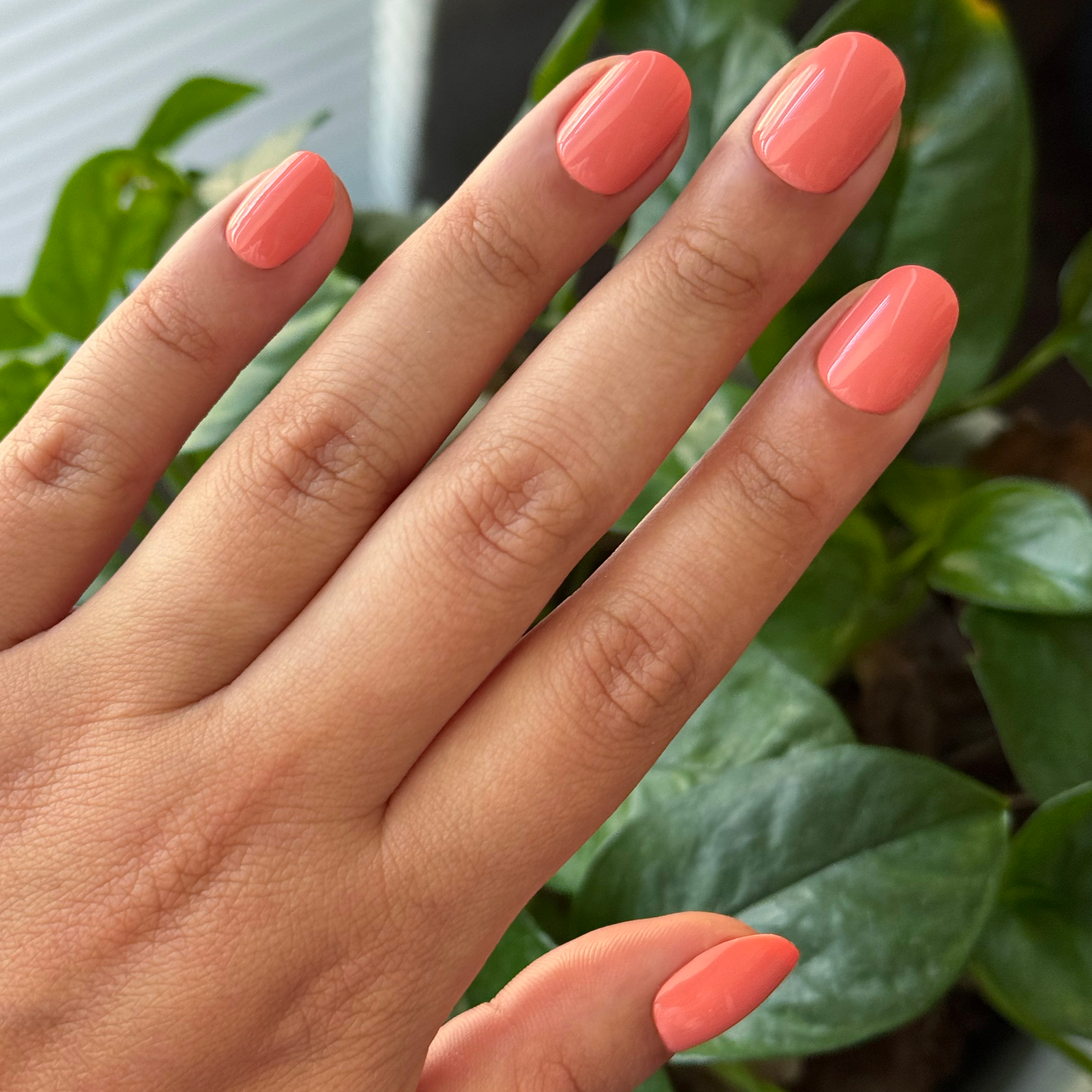 Frolic | Extra Short | Round - Tab Press-On、mySite、solidvoid