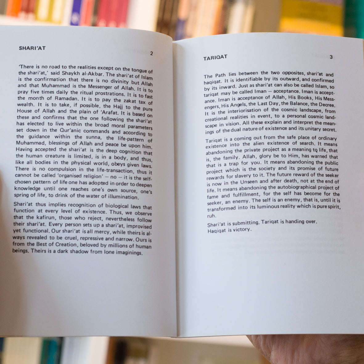 The Hundred Steps、mySite、topwebapps