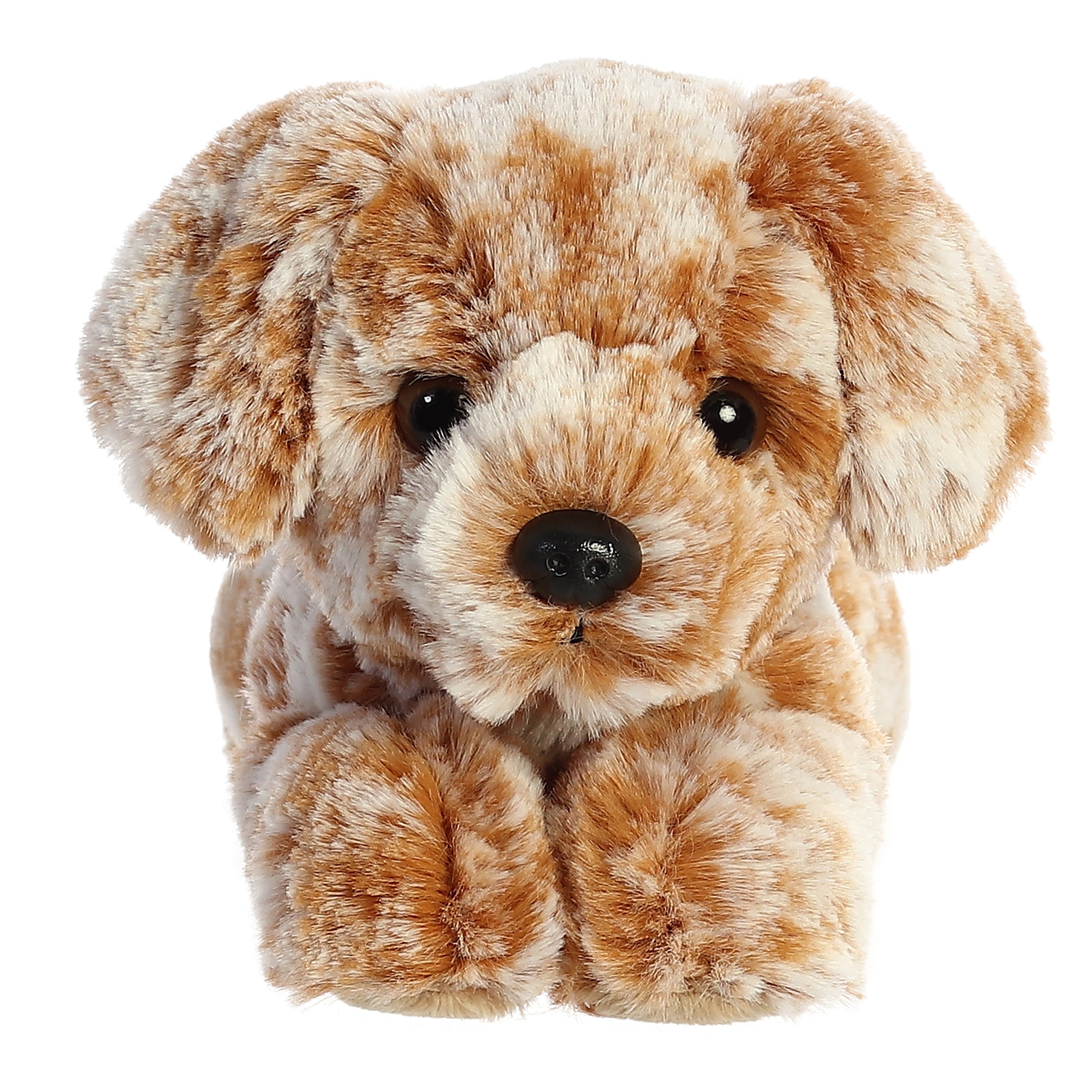 Aurora® - Mini Flopsie™ - 8 Coco Lab™、mySite、g9winljtr