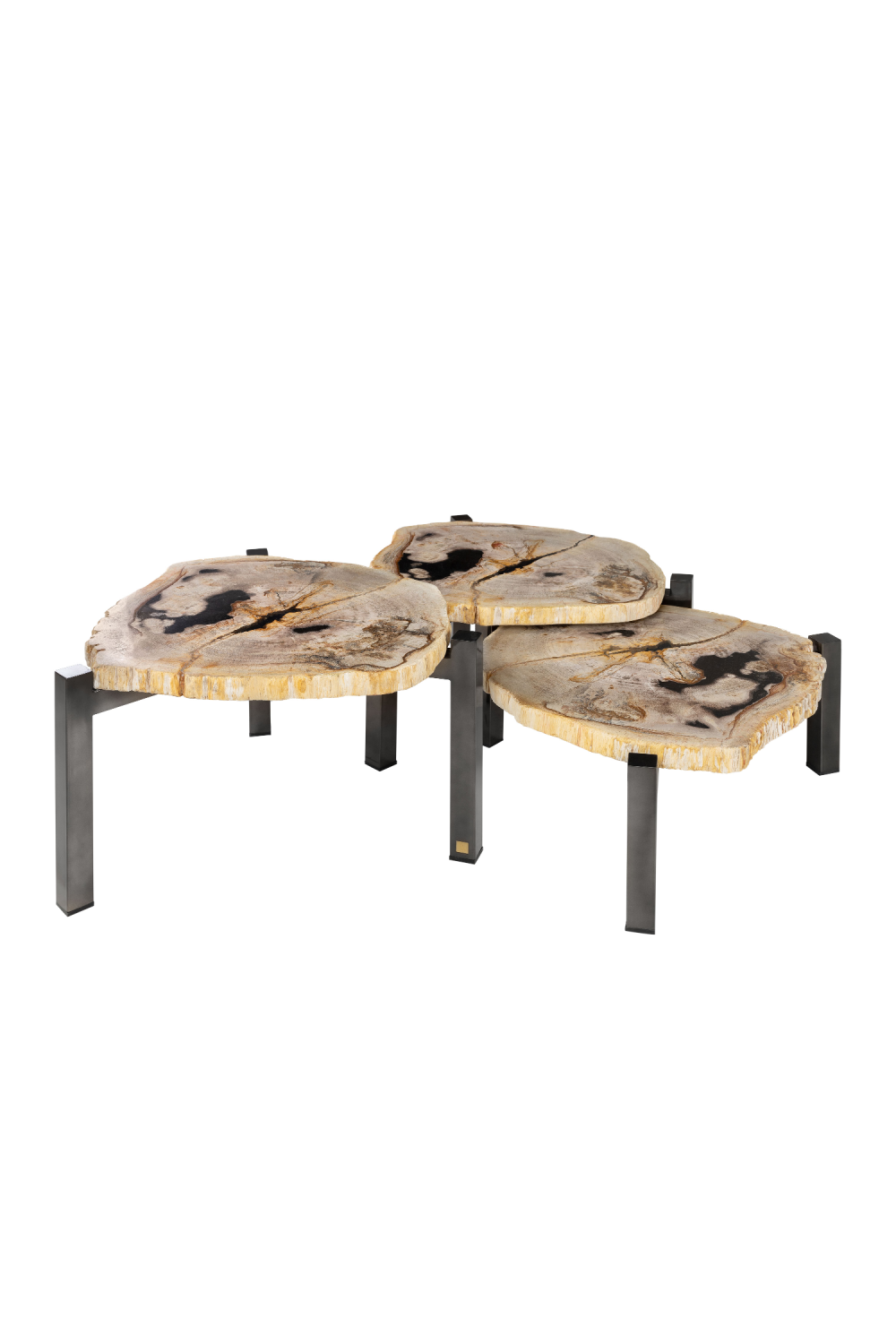 Petrified Wood Nested Coffee Tables (3) | Versmissen、mySite、neckold