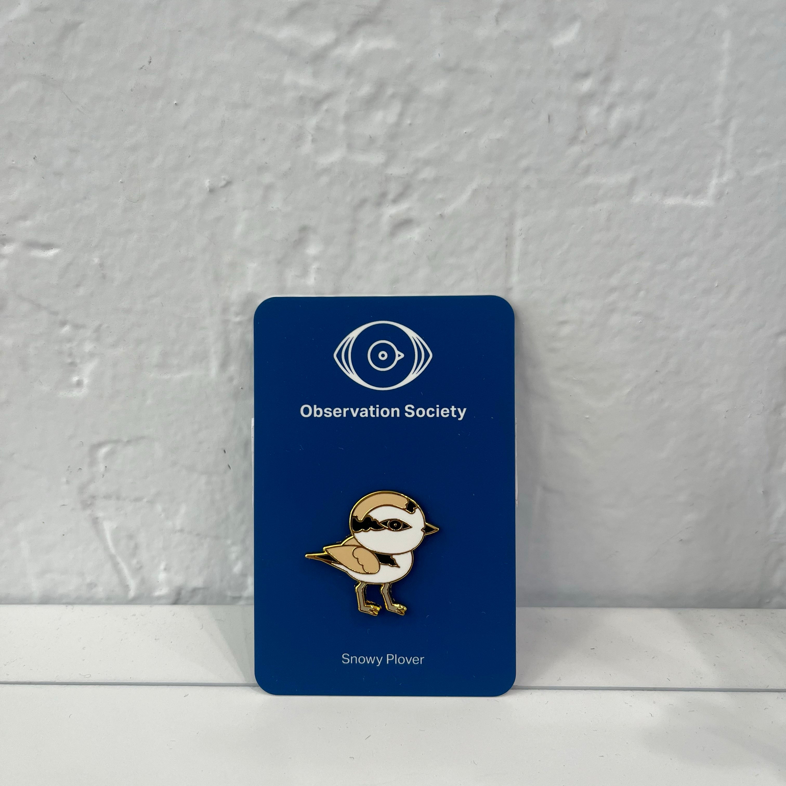 Observation - Snowy Plover - Pin、mySite、garagedoors4me