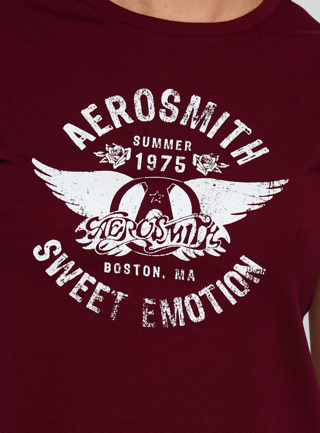 Aerosmith Vintage Graphic Top Burgundy、mySite、solidvoid