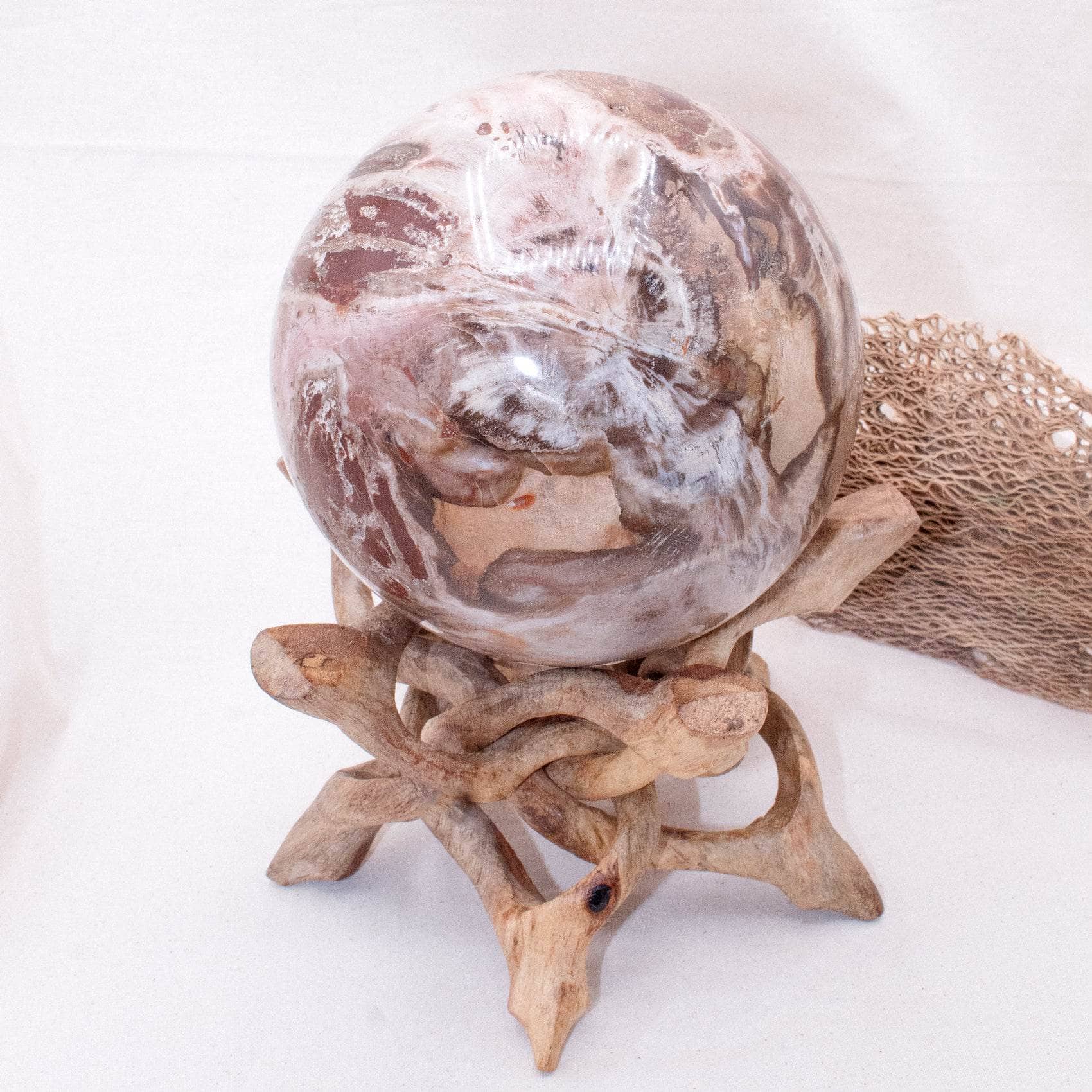 Petrified Wood Sphere - AAA Premium Quality、mySite、hinf8tx79