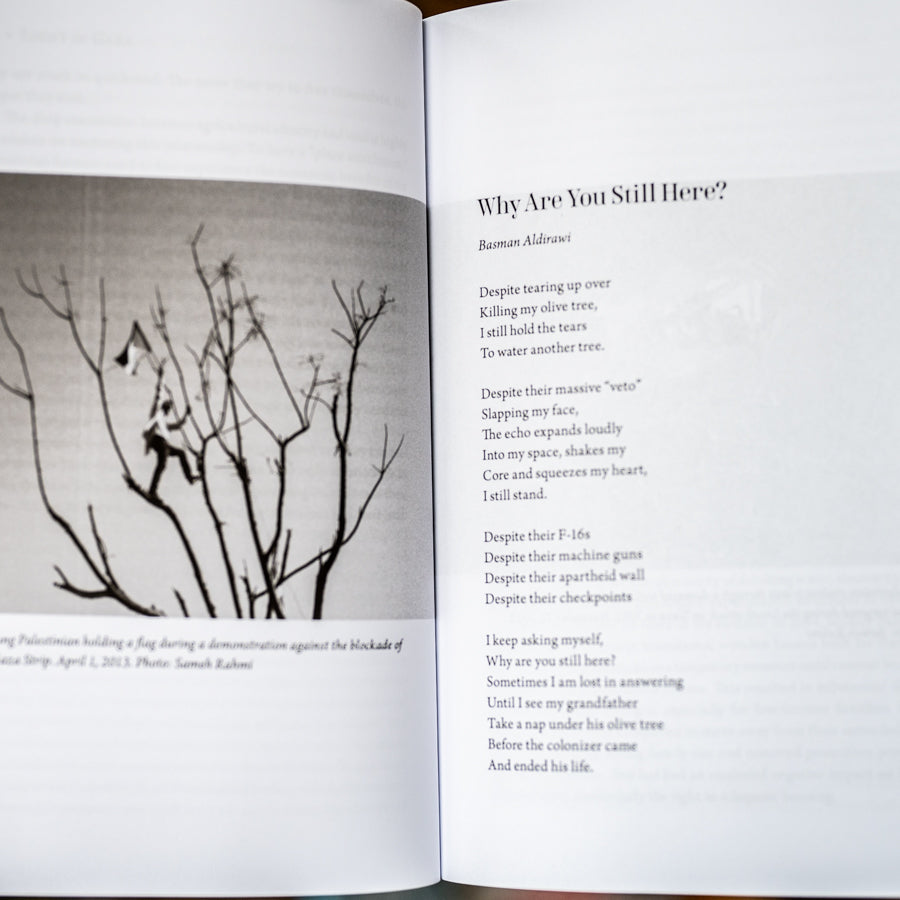 Light in Gaza: Writings Born of Fire、mySite、topwebapps