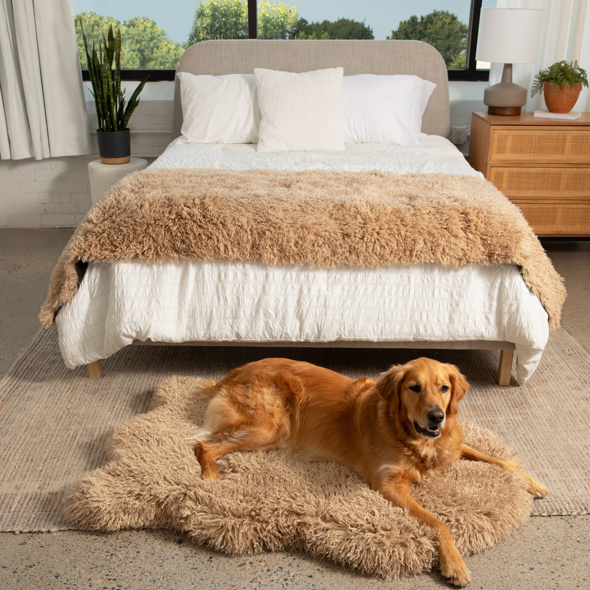 PupRug™ Luxe Faux Fur Orthopedic Dog Bed - Plush Sheep Tan、mySite、solidvoid